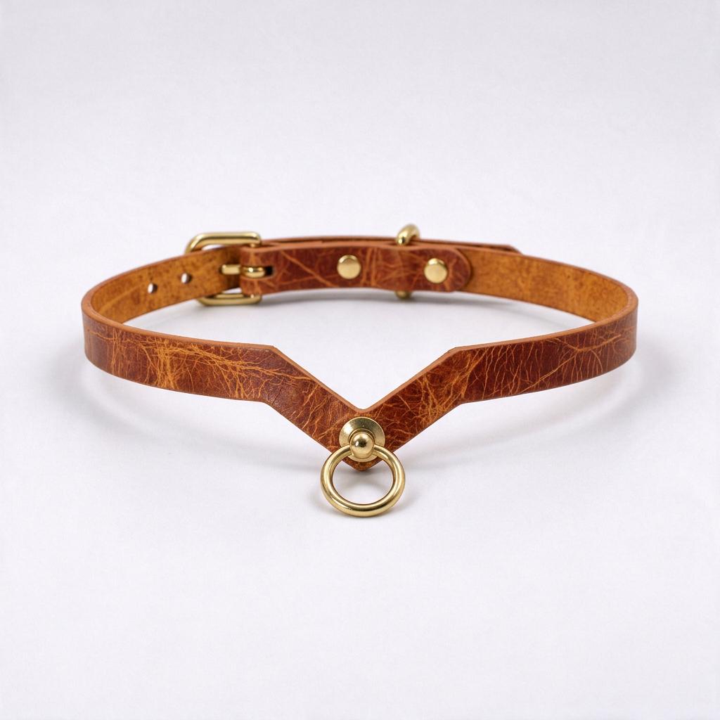 A brown leather choker necklace with a gold-colored metal ring and buckle.