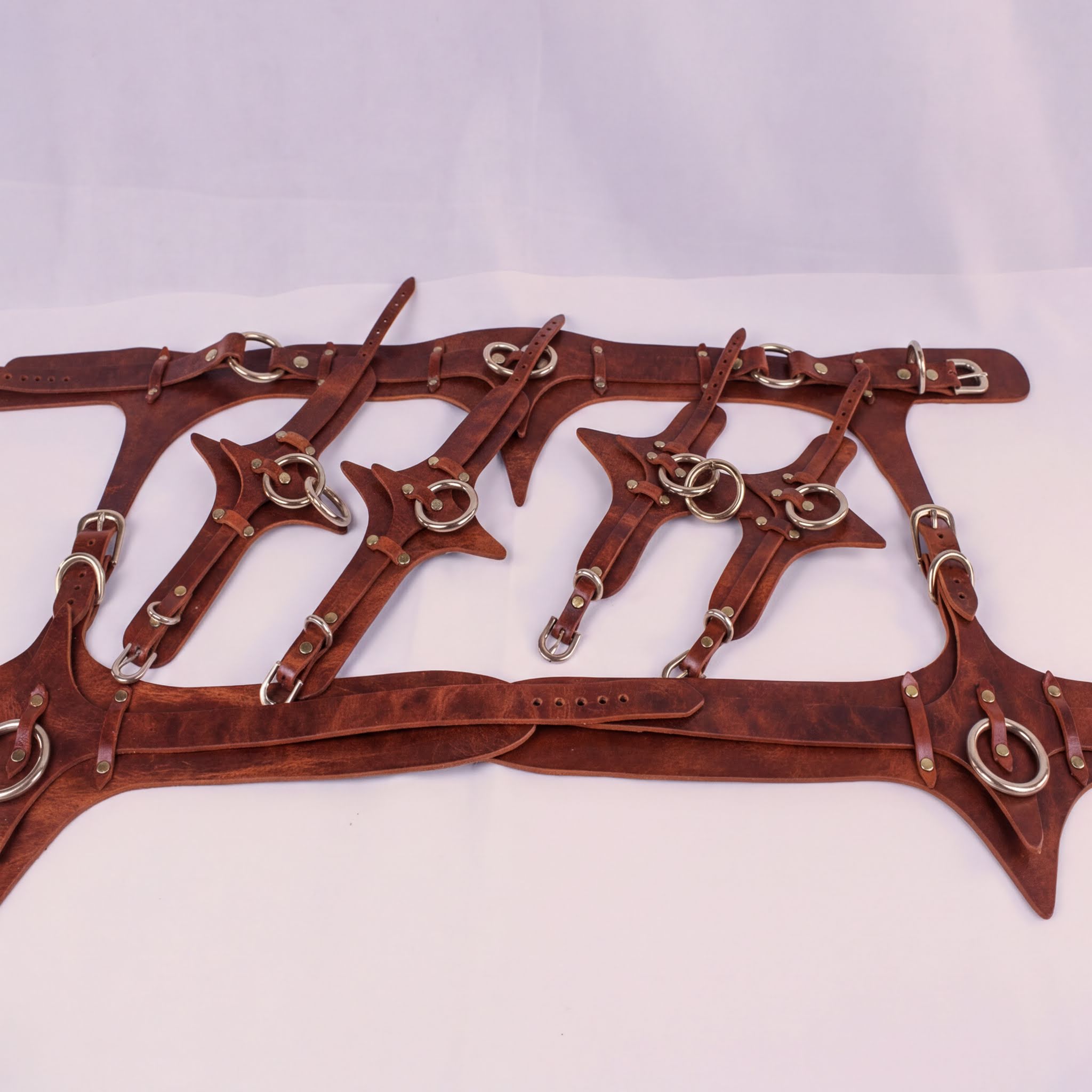 A collection of brown leather straps with metal rings and buckles, arranged in a pattern.