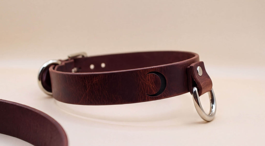 A close-up image of a brown leather collar with metal rings and a crescent moon symbol on the front.