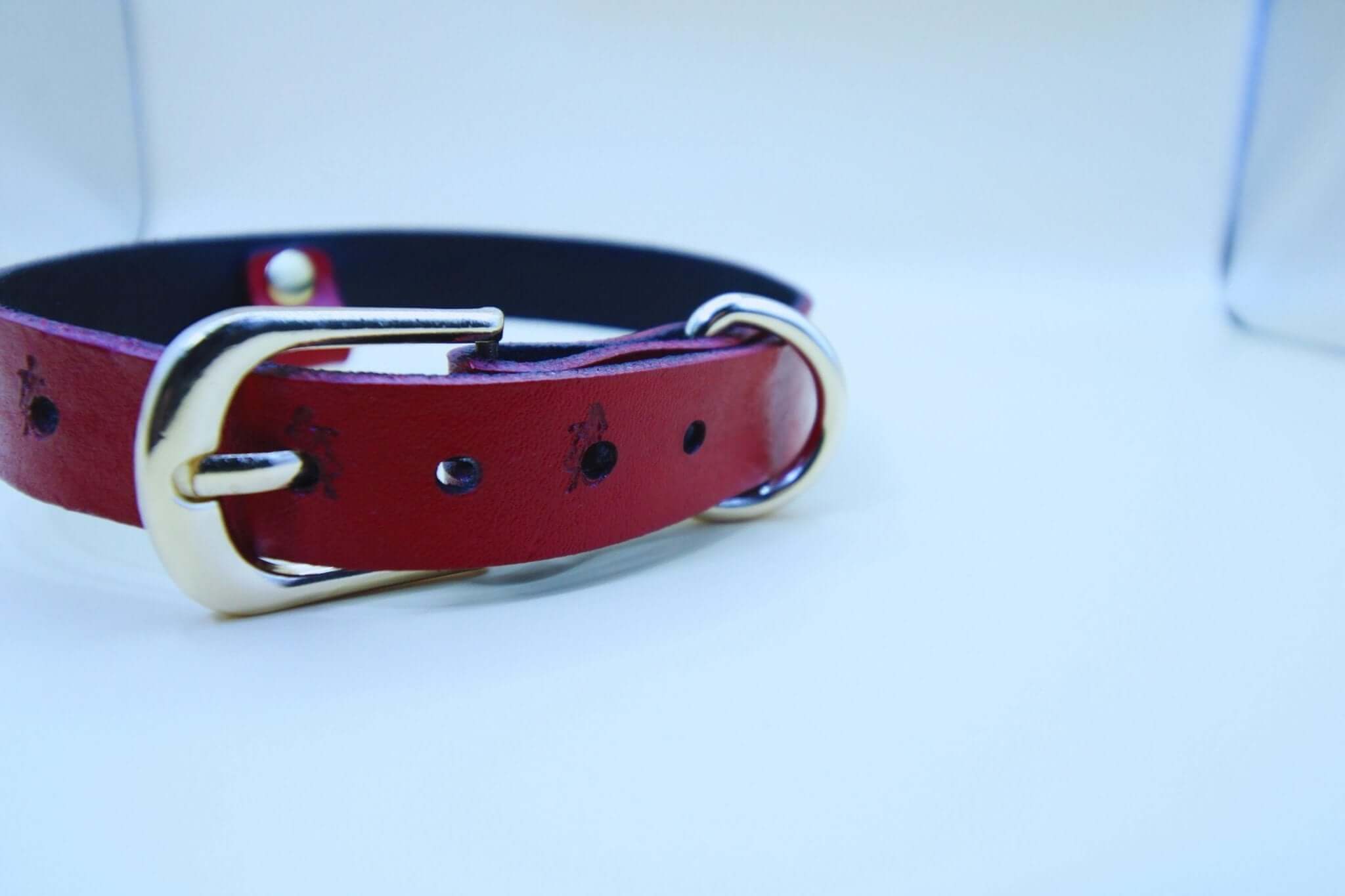 BDSM collar with devil girl design, red leather choker for submissive jewelry and bondage gear, perfect for discreet day wear.