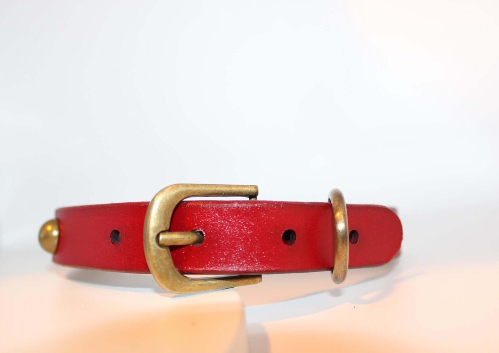 Red leather BDSM collar with antique brass buckle, perfect for sub jewelry and alternative fashion.