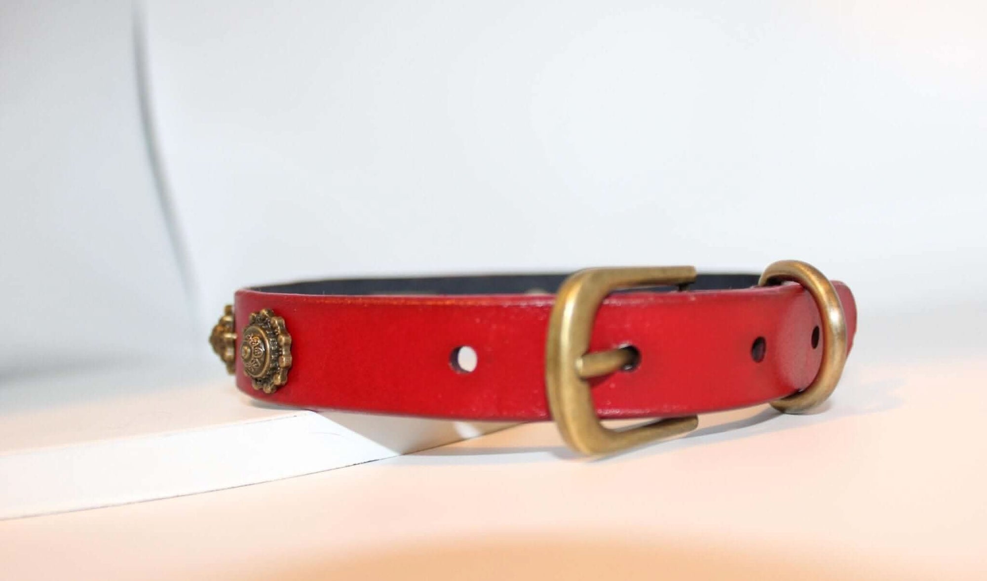 Red leather BDSM collar with antique-style studs and gold-tone buckle, perfect for alternative fashion and dominatrix accessories.