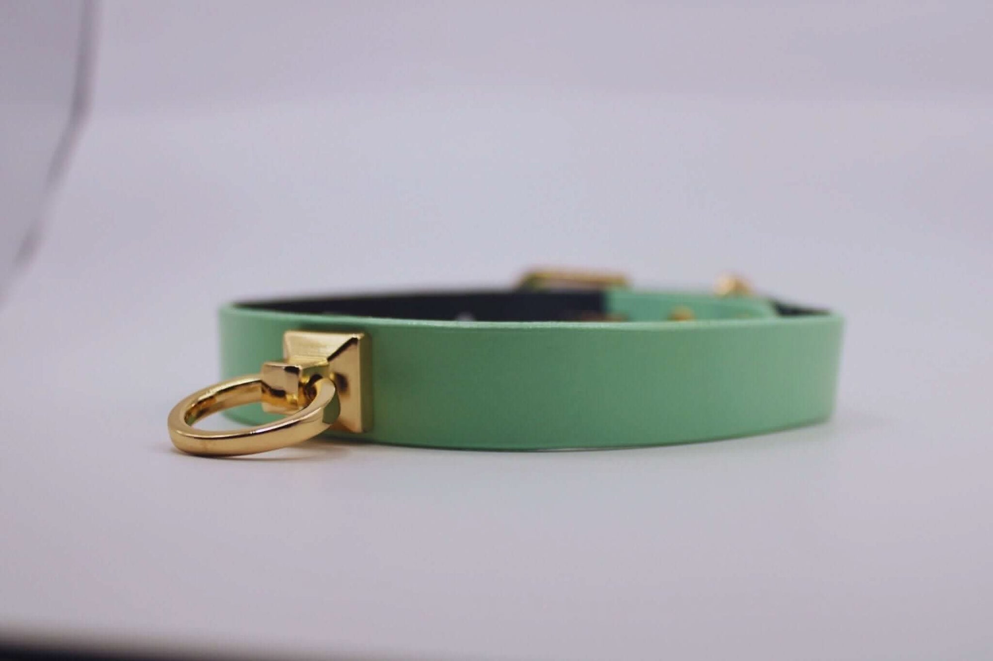 Mint green leather choker collar with O-ring for BDSM play, perfect submissive jewelry and stylish restraint accessory.