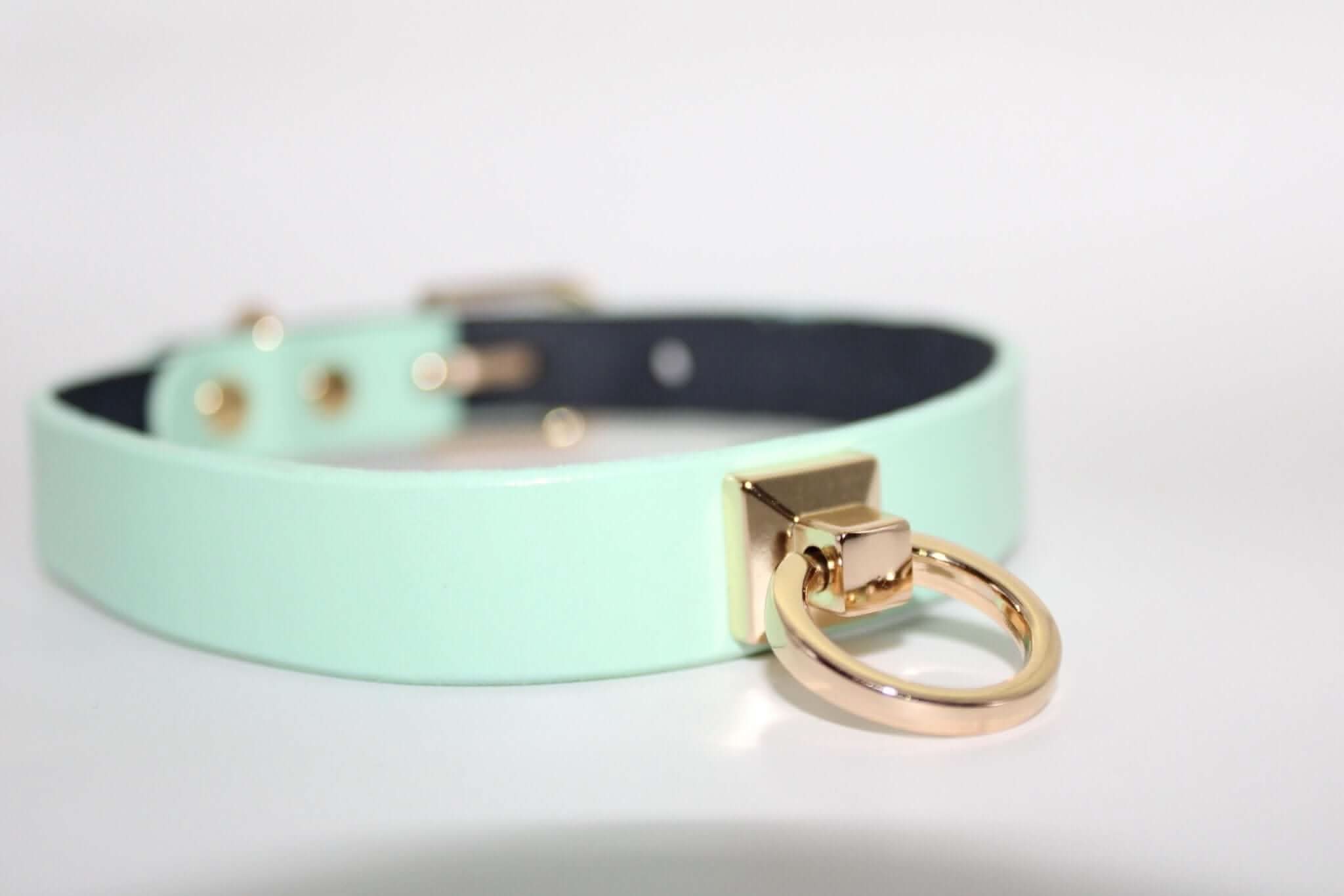 Mint green leather submissive collar with gold O-ring, perfect for BDSM play and fashion statement.