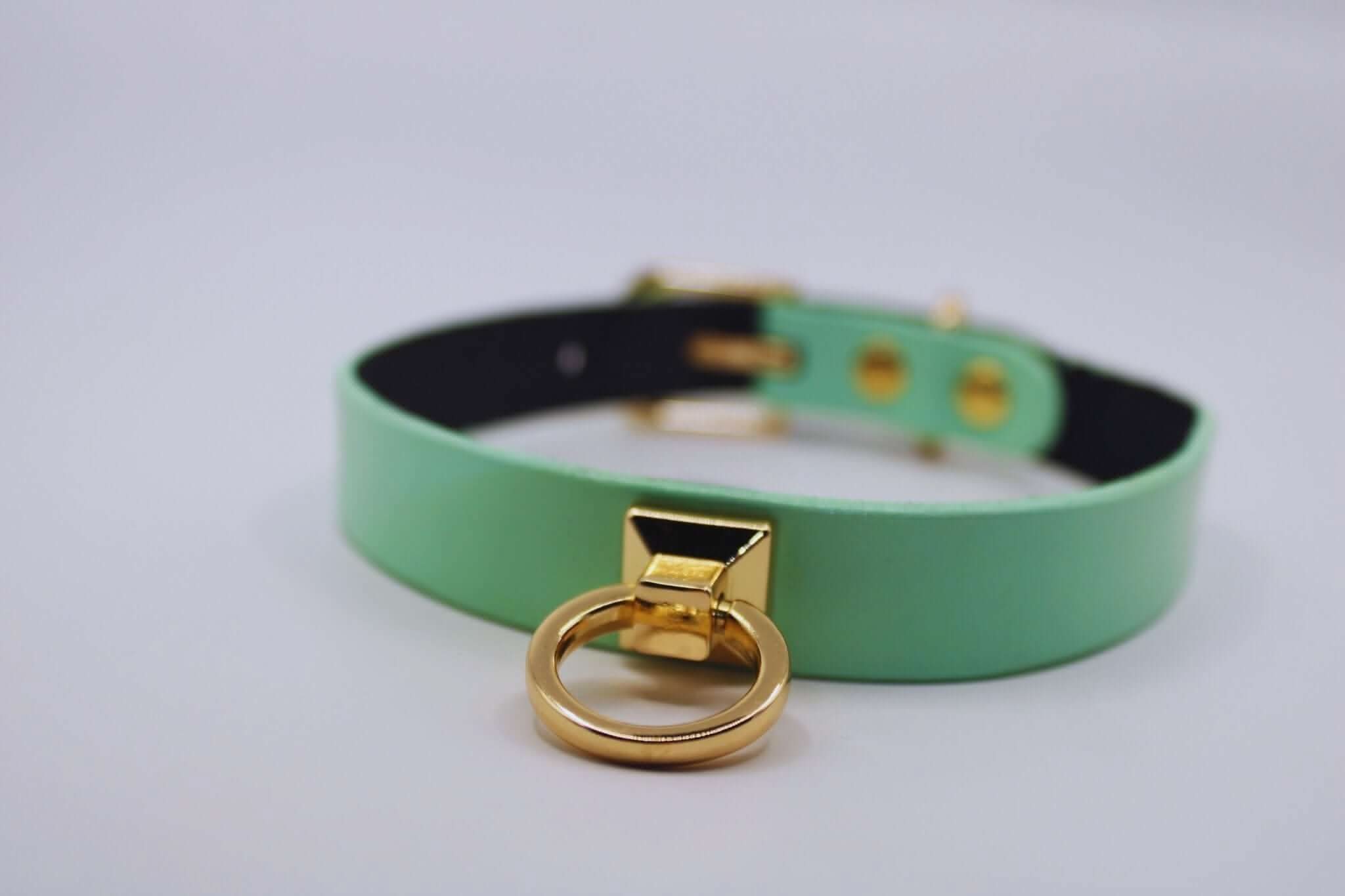 Mint green leather BDSM collar with gold O-ring, perfect for submissive jewelry and stylish bondage play.