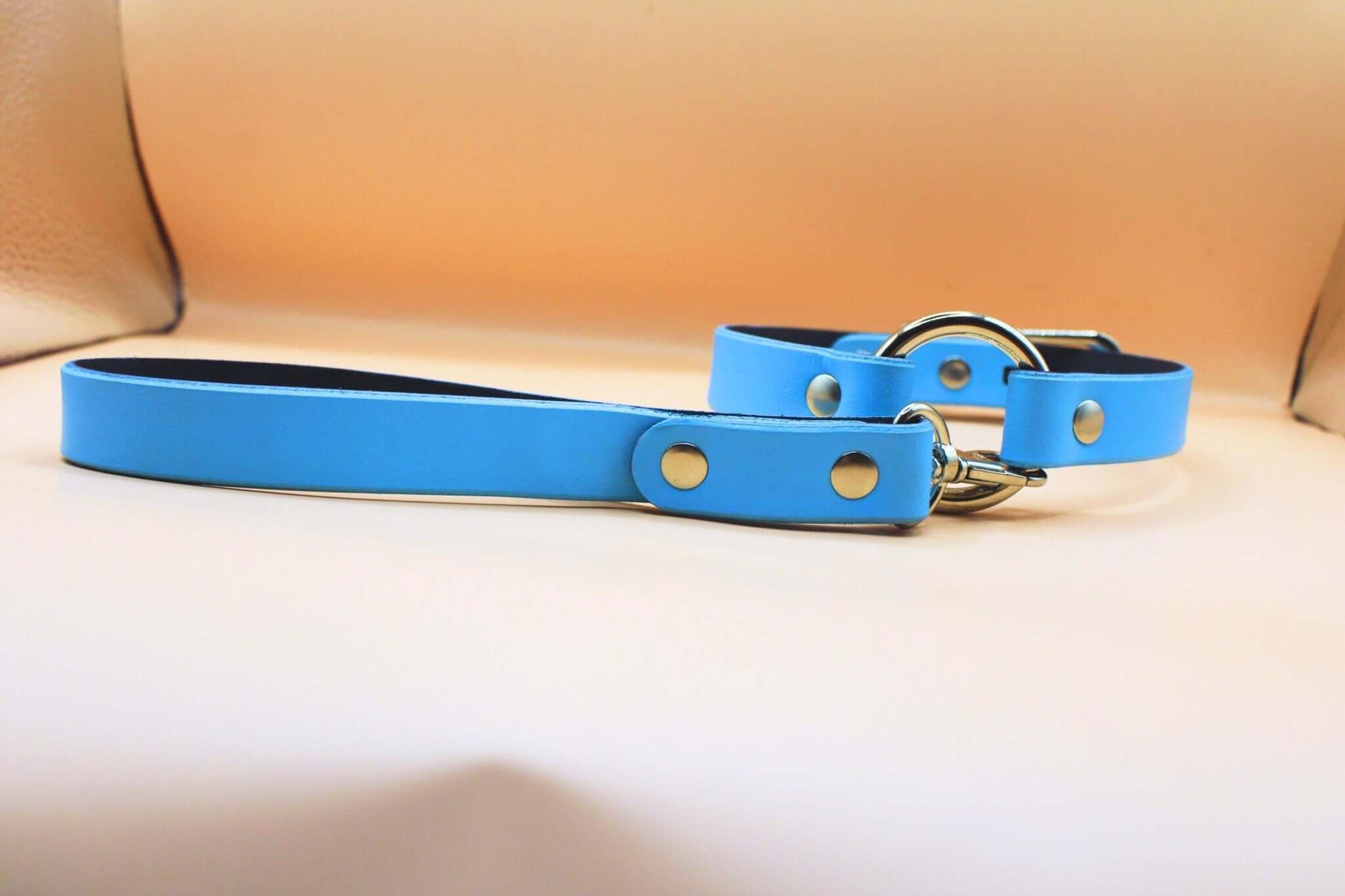 Blue leather leash with metal buckle, perfect for discreet BDSM collars and stylish sub gear.