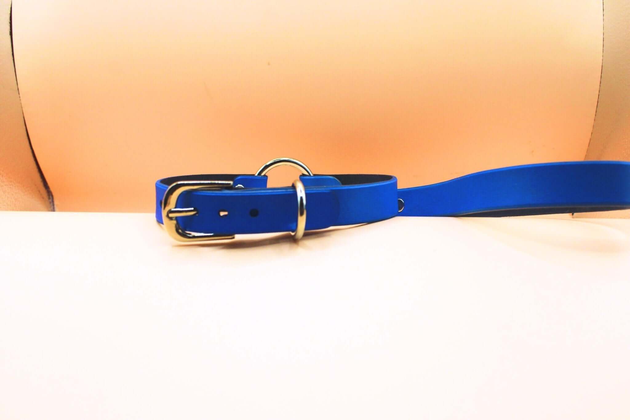 Blue leather choker collar with leash, ideal for BDSM day wear, discreet sub collar and submissive jewelry.
