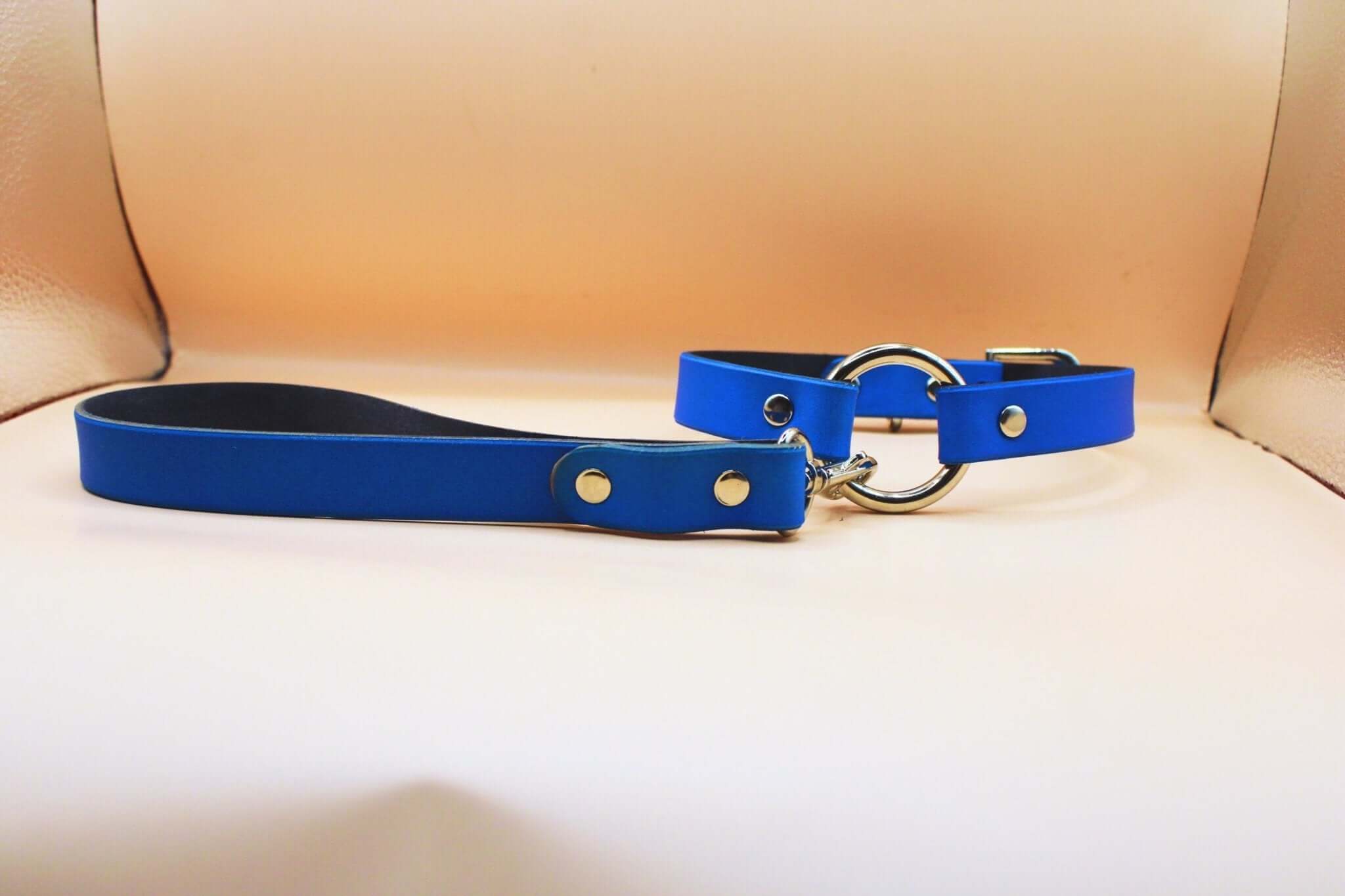 Blue leather choker with leash, perfect submissive collar for BDSM, discreet day collar and bondage gear.