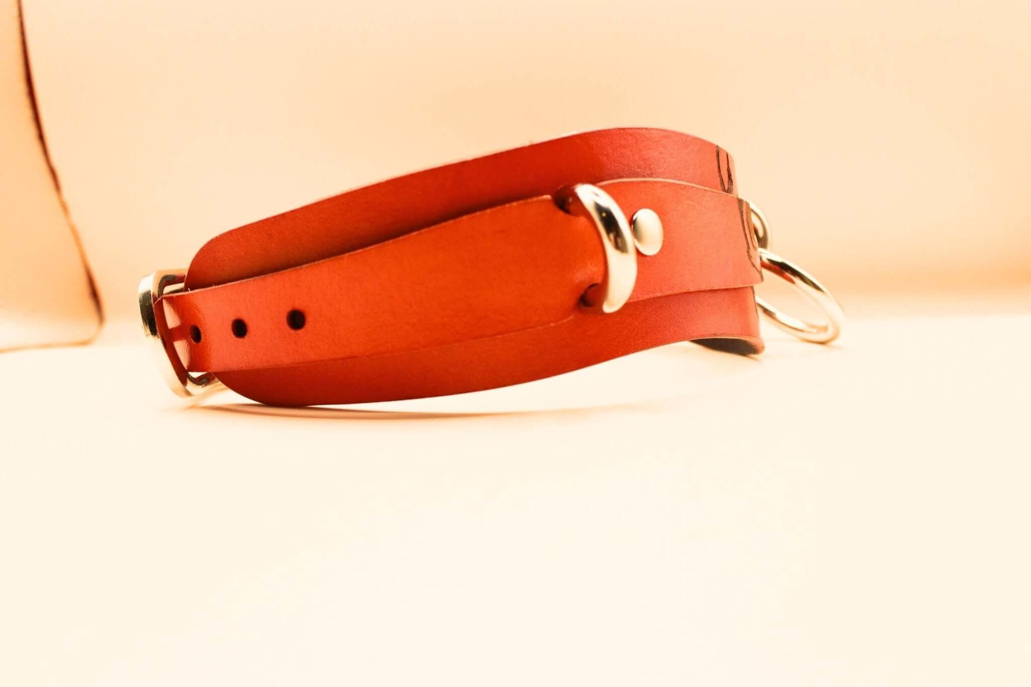 Bold Skull leather BDSM collar featuring durable design, perfect for submissive jewelry and bondage gear enthusiasts.