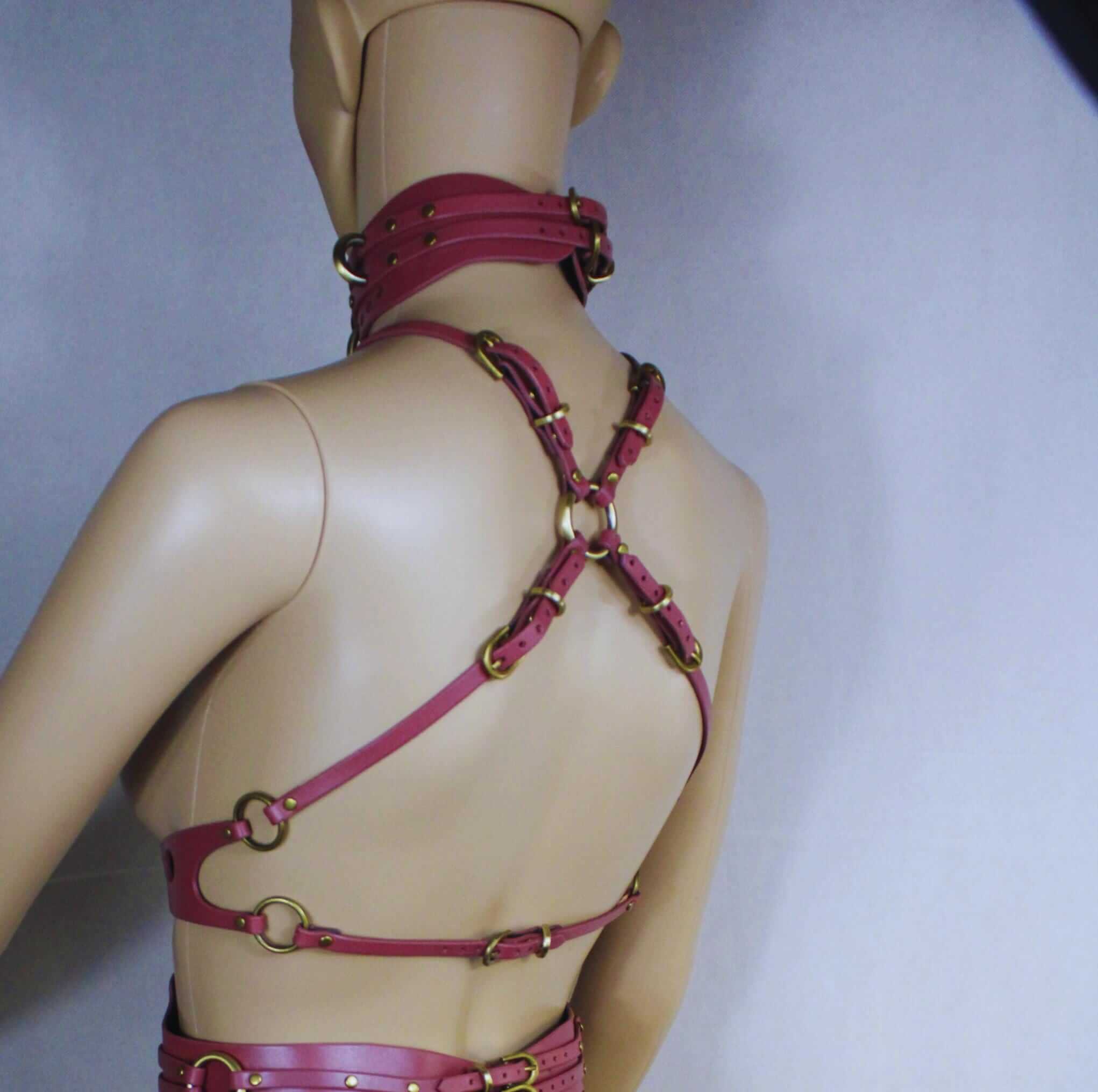 Pink bondage harness showcasing premium leather with gold accents, ideal for BDSM enthusiasts and sub collar styles.