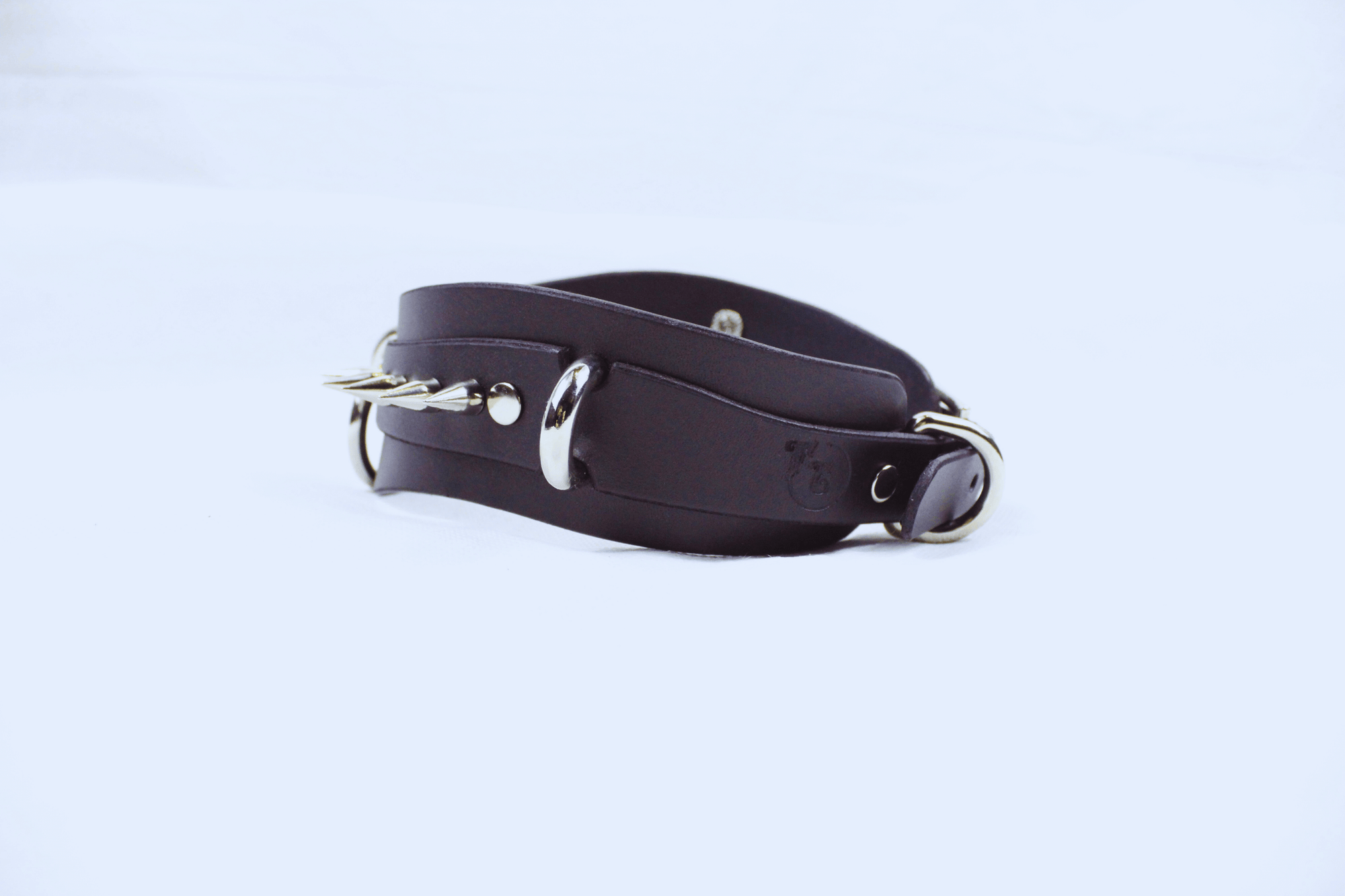 Obsidian BDSM Collar – Double Ring Submissive Choker Posture Collar in matte black leather with stainless-steel rings.