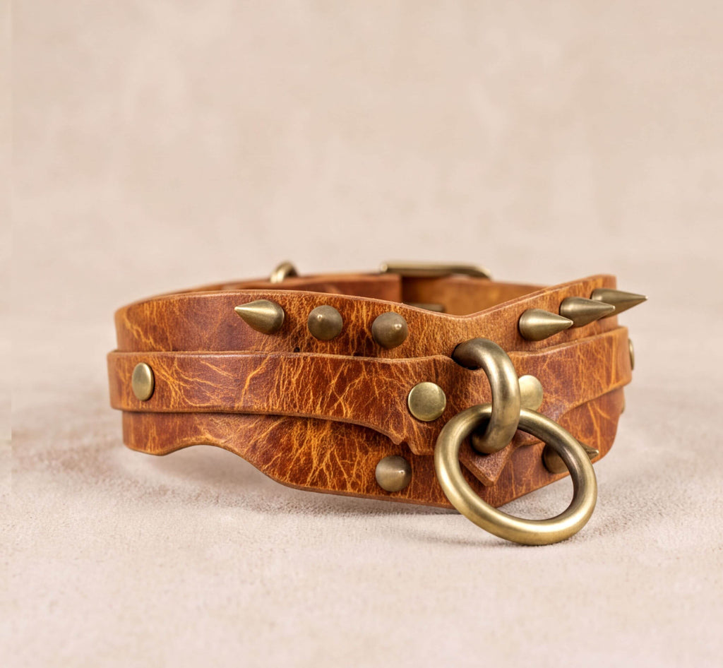 A brown leather collar with metal studs and a metal ring attached to it.