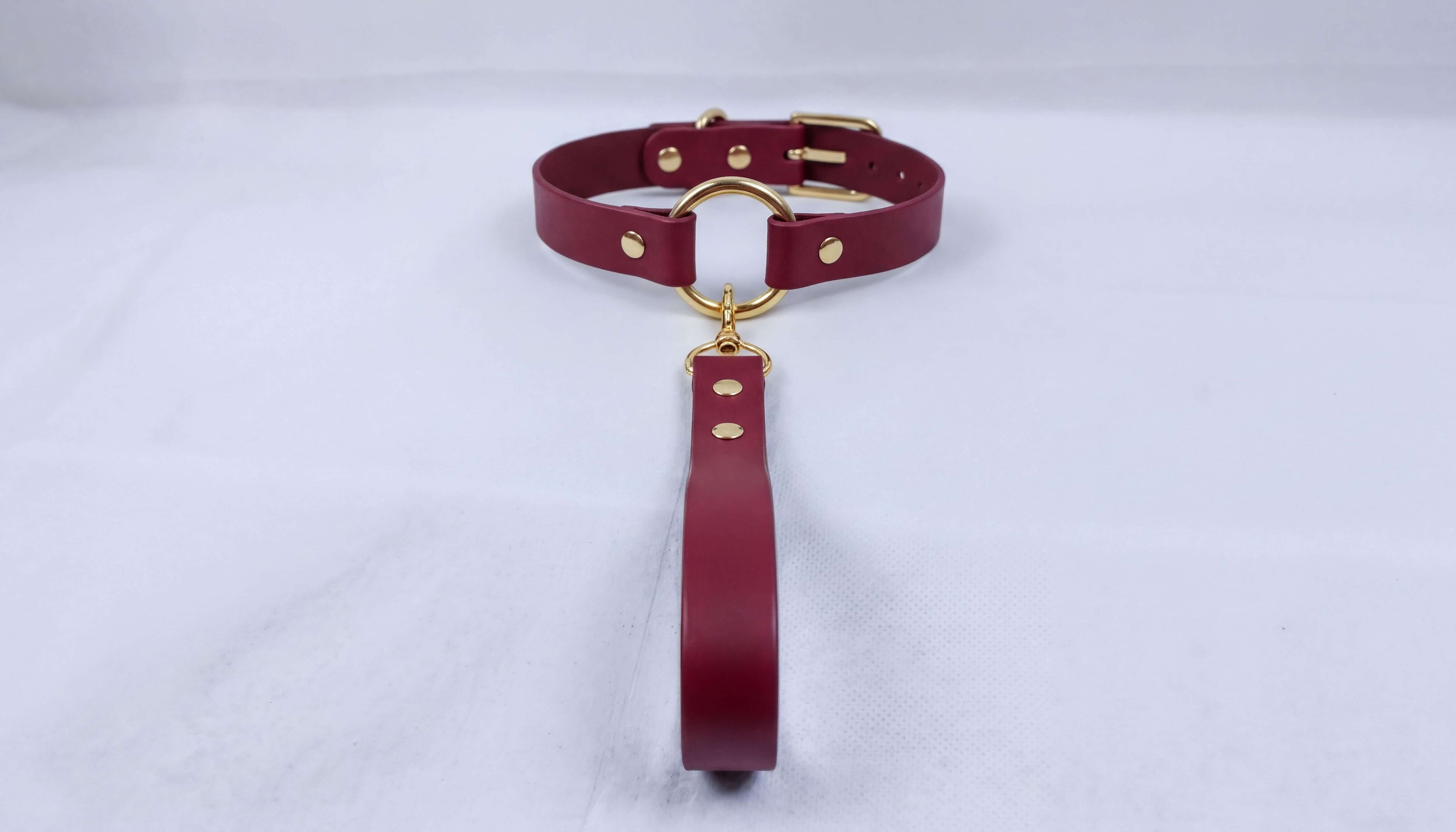 A burgundy leather collar with a gold-colored buckle and a red-colored handle attached to it, resting on a white surface.
