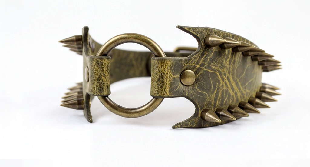 A close-up image of a leather strap with spikes protruding from it, featuring a circular metal ring.