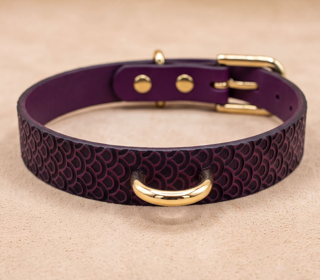 A purple leather dog collar with a gold-colored metal buckle.
