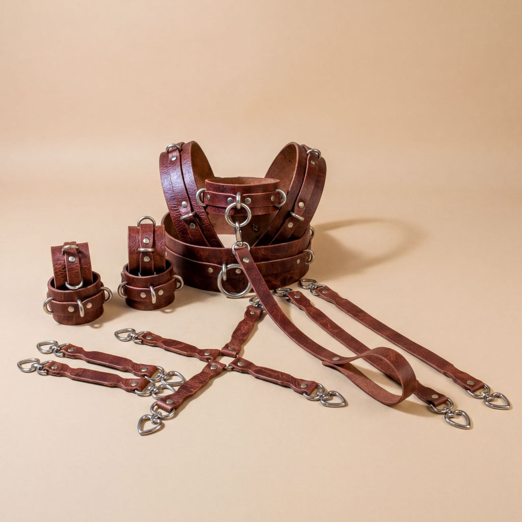 a collection of leather straps and buckles, including a harness and several individual straps, arranged on a beige background.