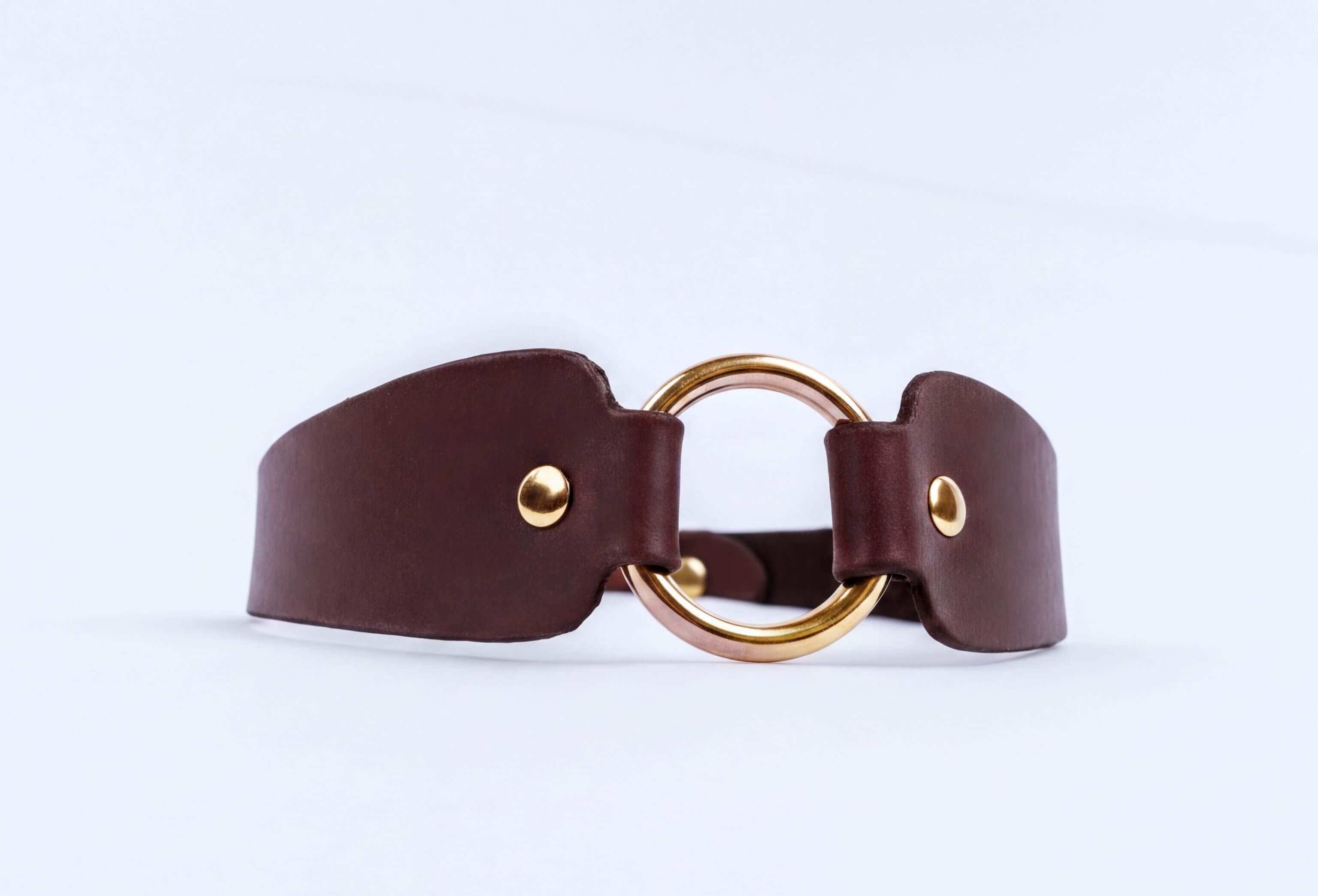 A brown leather choker necklace with a gold-colored circular buckle.