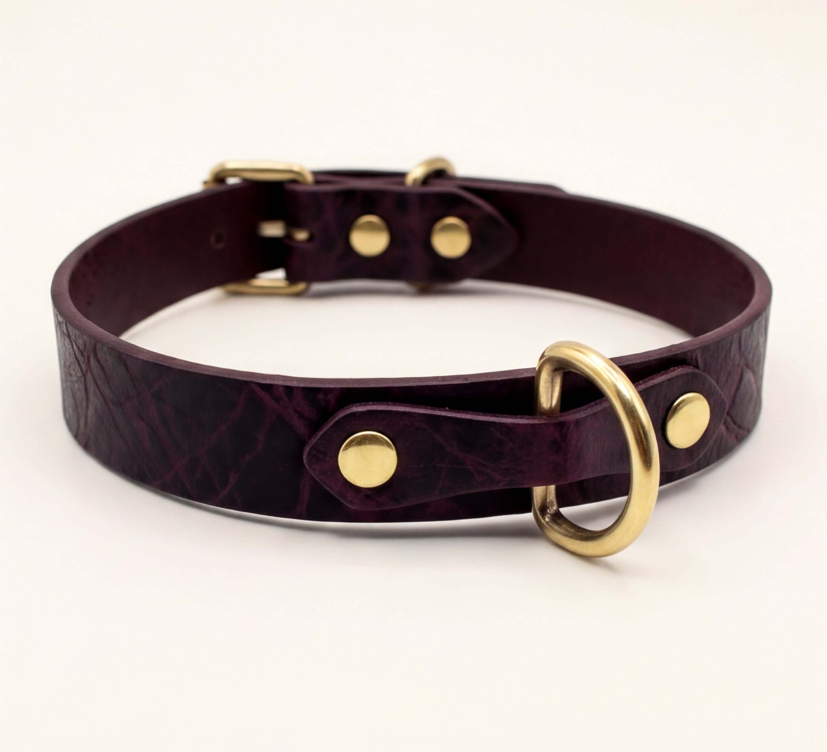 A burgundy leather dog collar with a gold-colored buckle and ring.