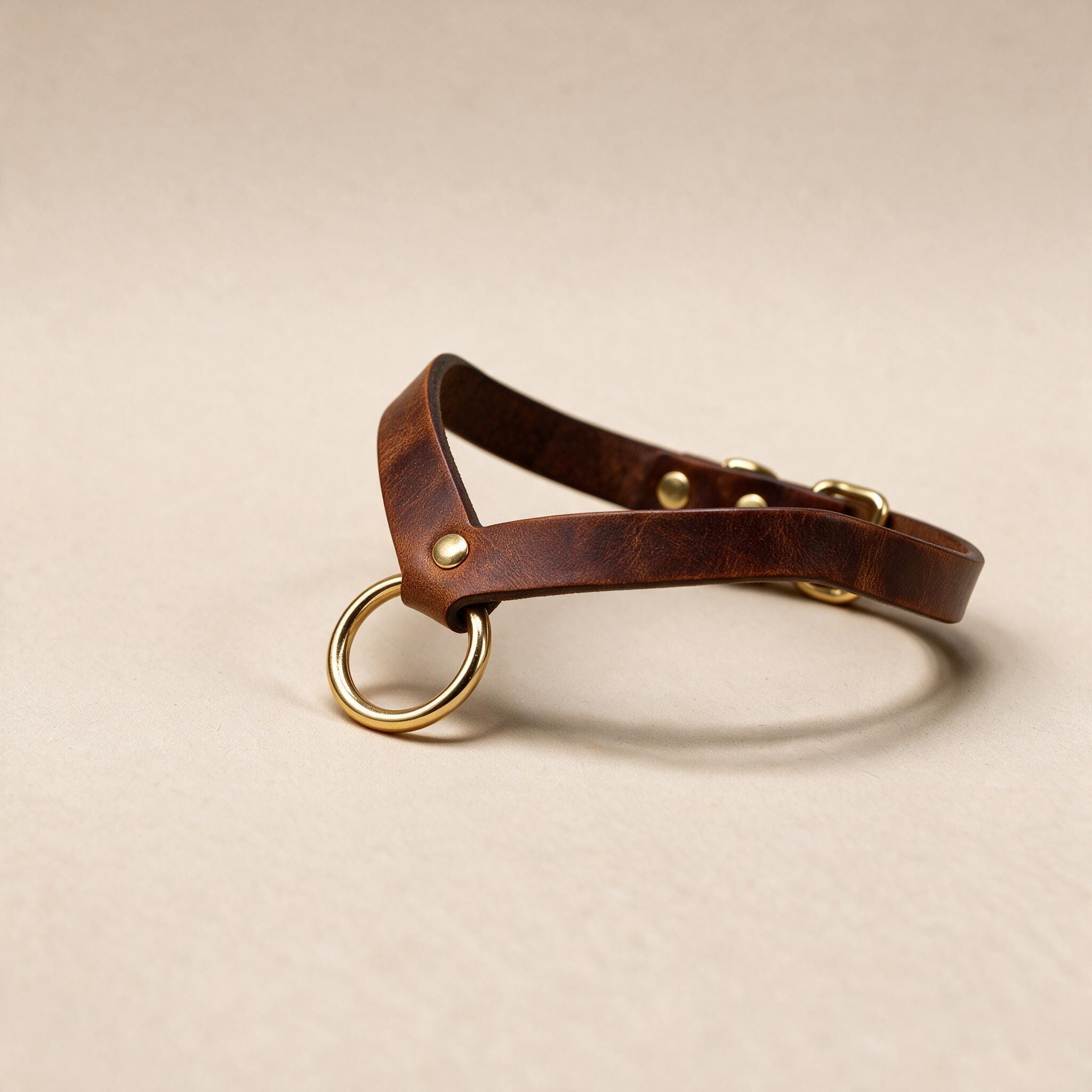A brown leather collar with a gold ring and buckle, resting on a beige background.