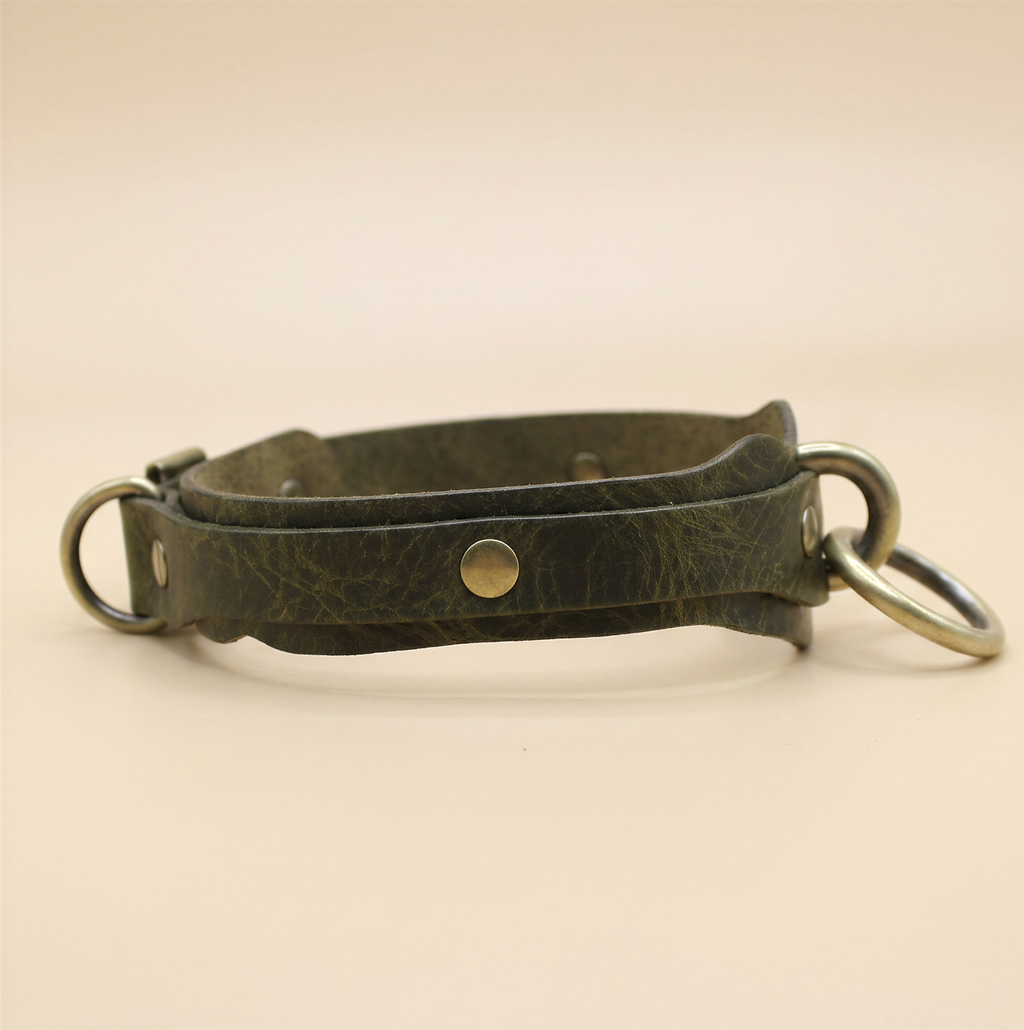 A dark green leather collar with metal rings and a buckle.