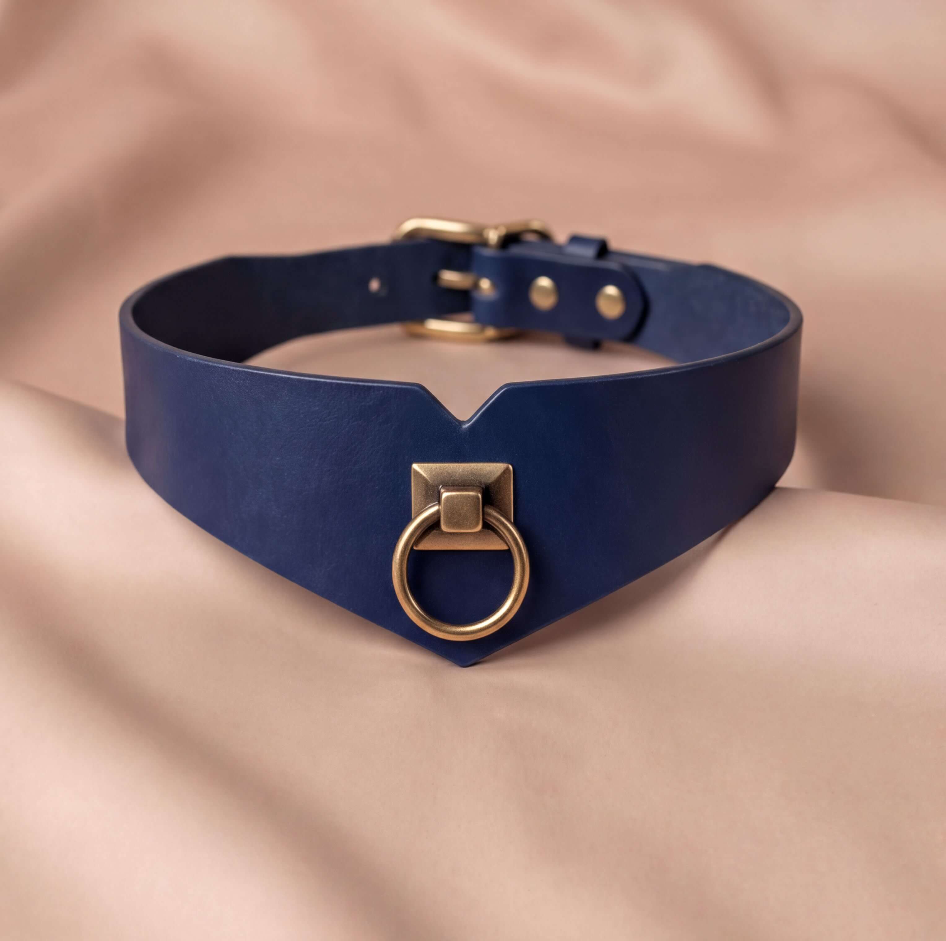A navy blue choker collar with a gold-colored metal ring and buckle.