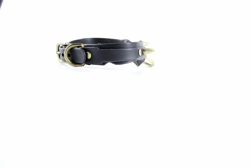 A black leather collar with a metal buckle and spikes protruding from it.