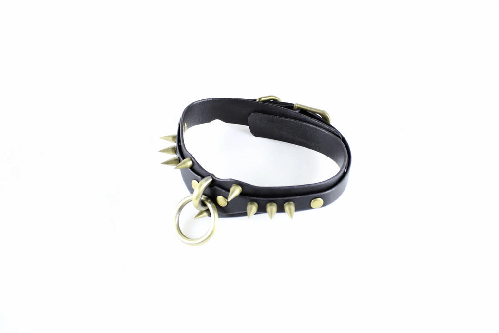 A black leather collar with spikes protruding from it, and a metal ring attached to the collar.