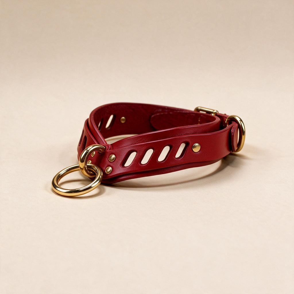 A red leather choker collar with gold rings and buckles is shown against a beige background.