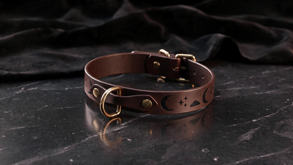A brown leather collar with a moon and star design on it, resting on a dark surface.