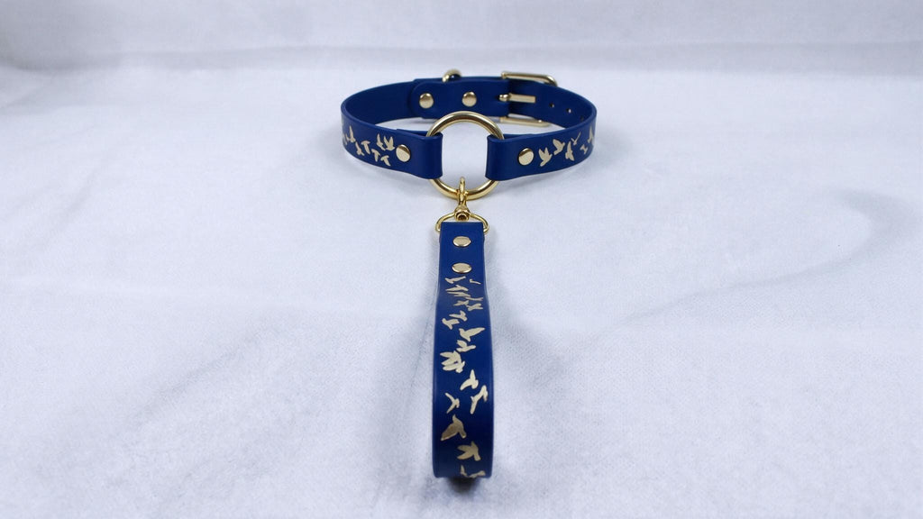 A blue collar with a gold-colored buckle and a gold-colored tag attached to it, resting on a white surface.