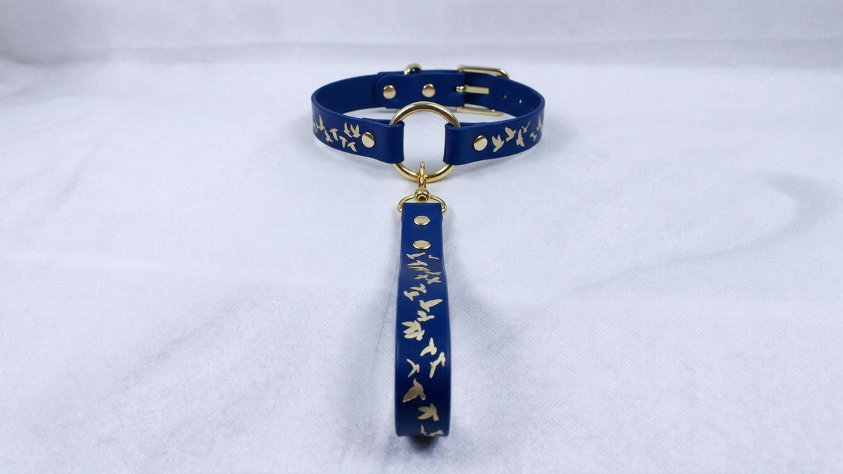 A blue collar with a gold-colored buckle and a gold-colored tag attached to it, resting on a white surface.