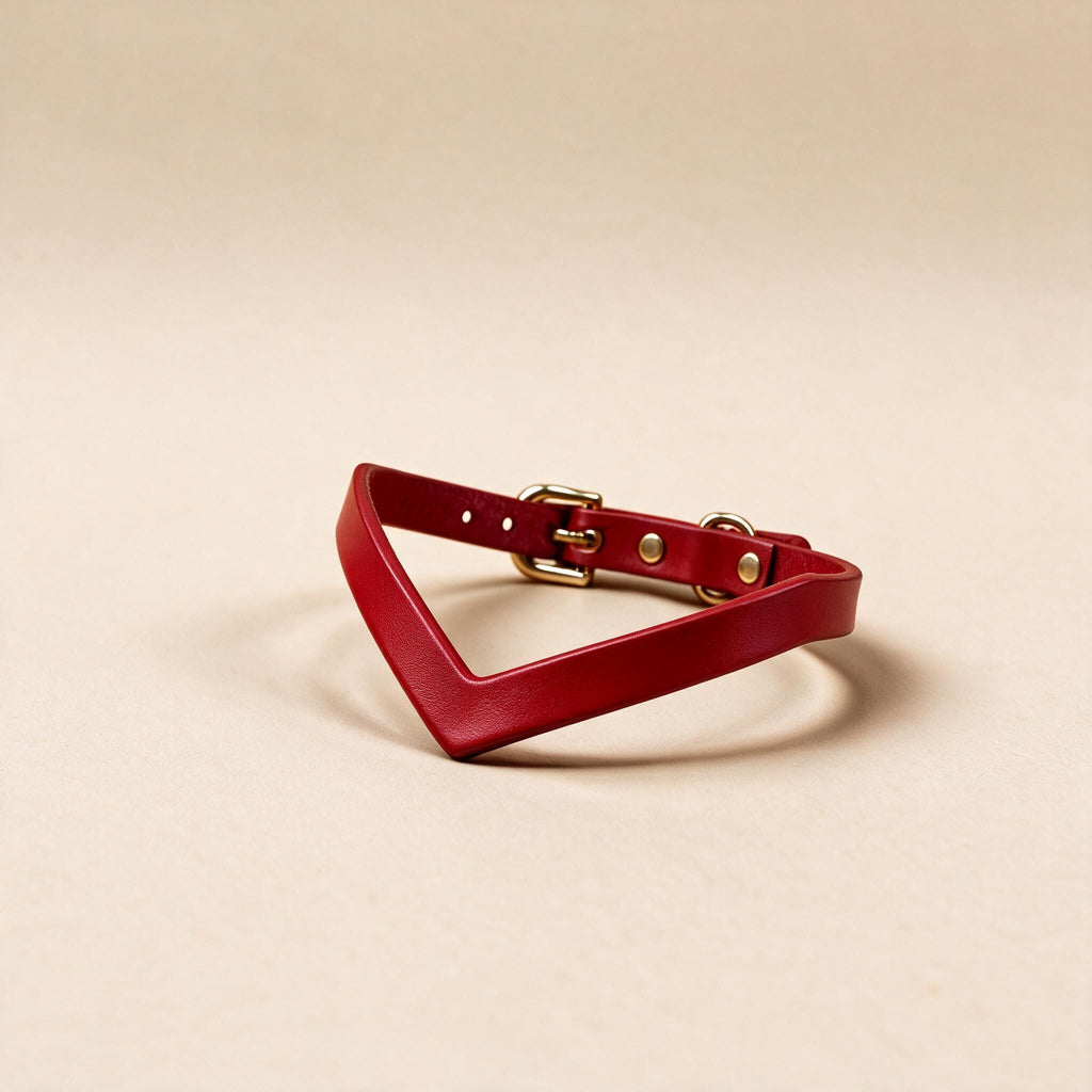 A red leather choker necklace with a gold buckle is displayed against a beige background.