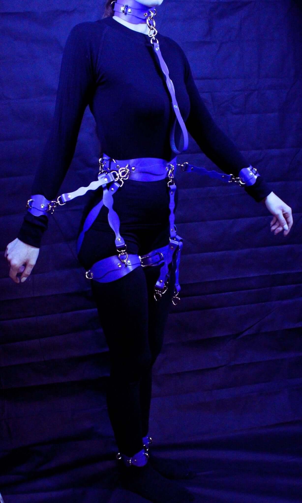 Complete BDSM leather restraint set featuring harness and collar in purple, perfect for bondage and sub play.