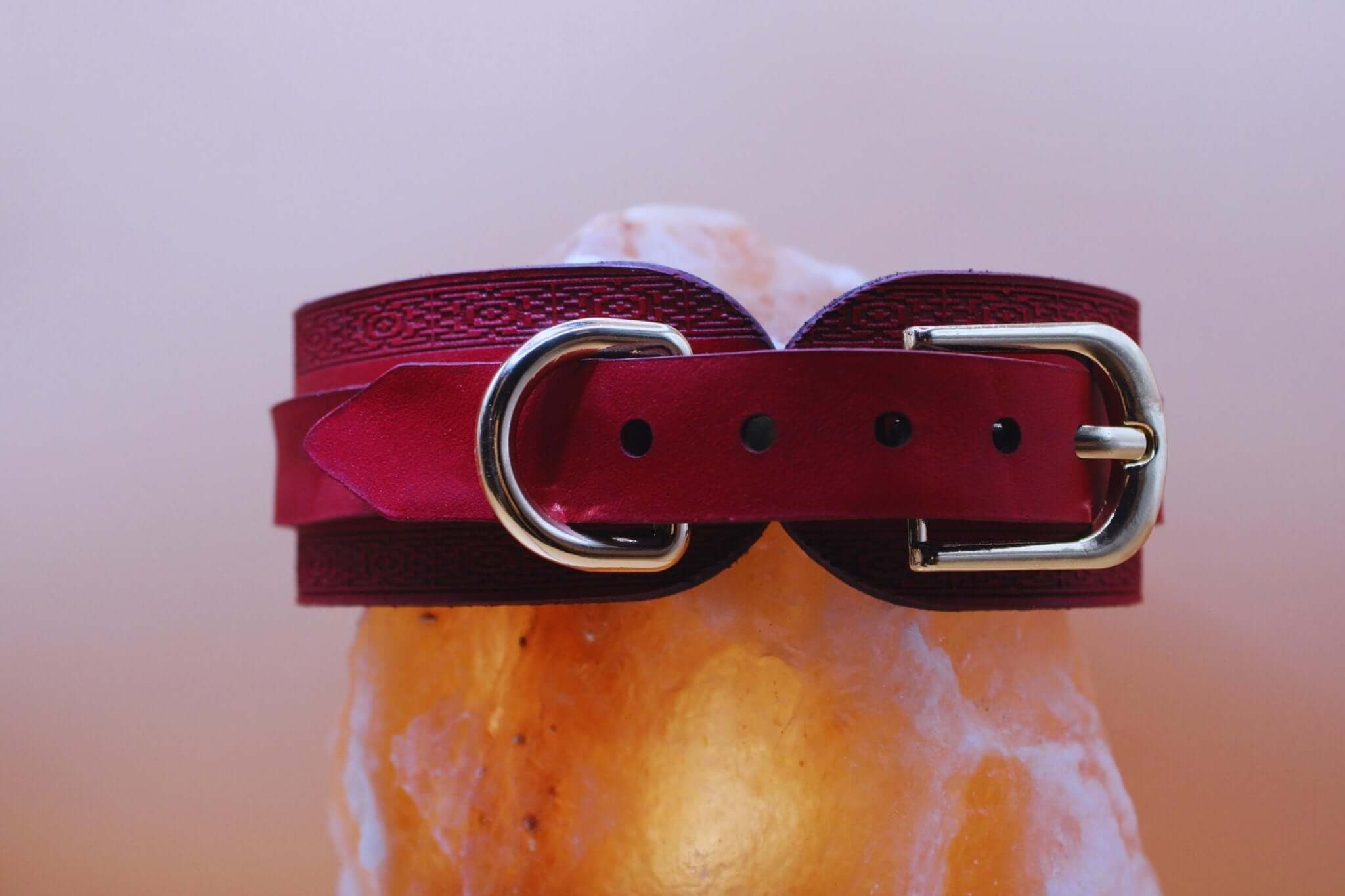Crimson red BDSM collar with polished O-ring, crafted from leather, perfect for bondage, sub collar, or as stylish BDSM jewelry.