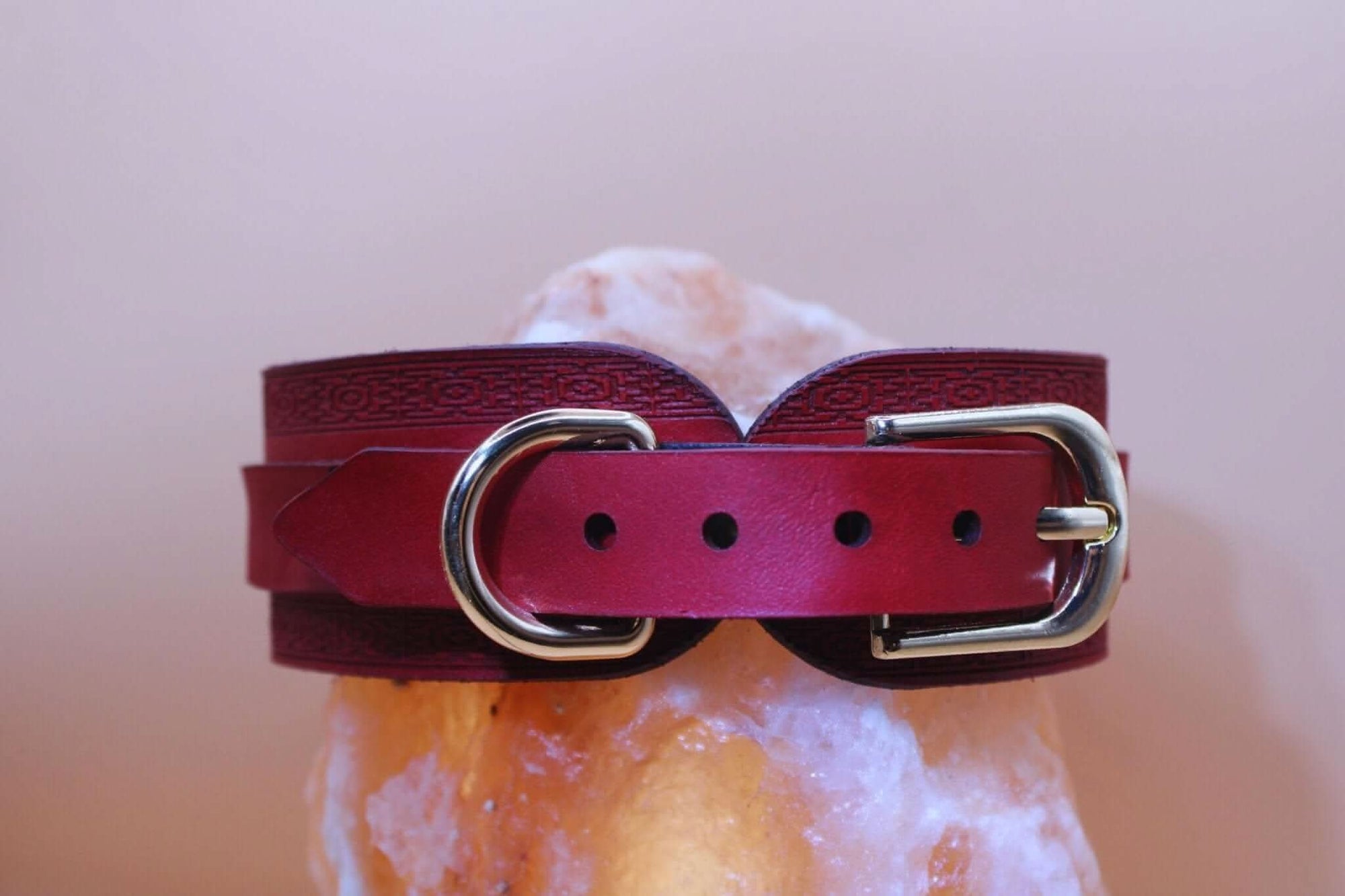 Elegant crimson red BDSM collar with O-ring, perfect for submissive jewelry and leather lingerie fashion.