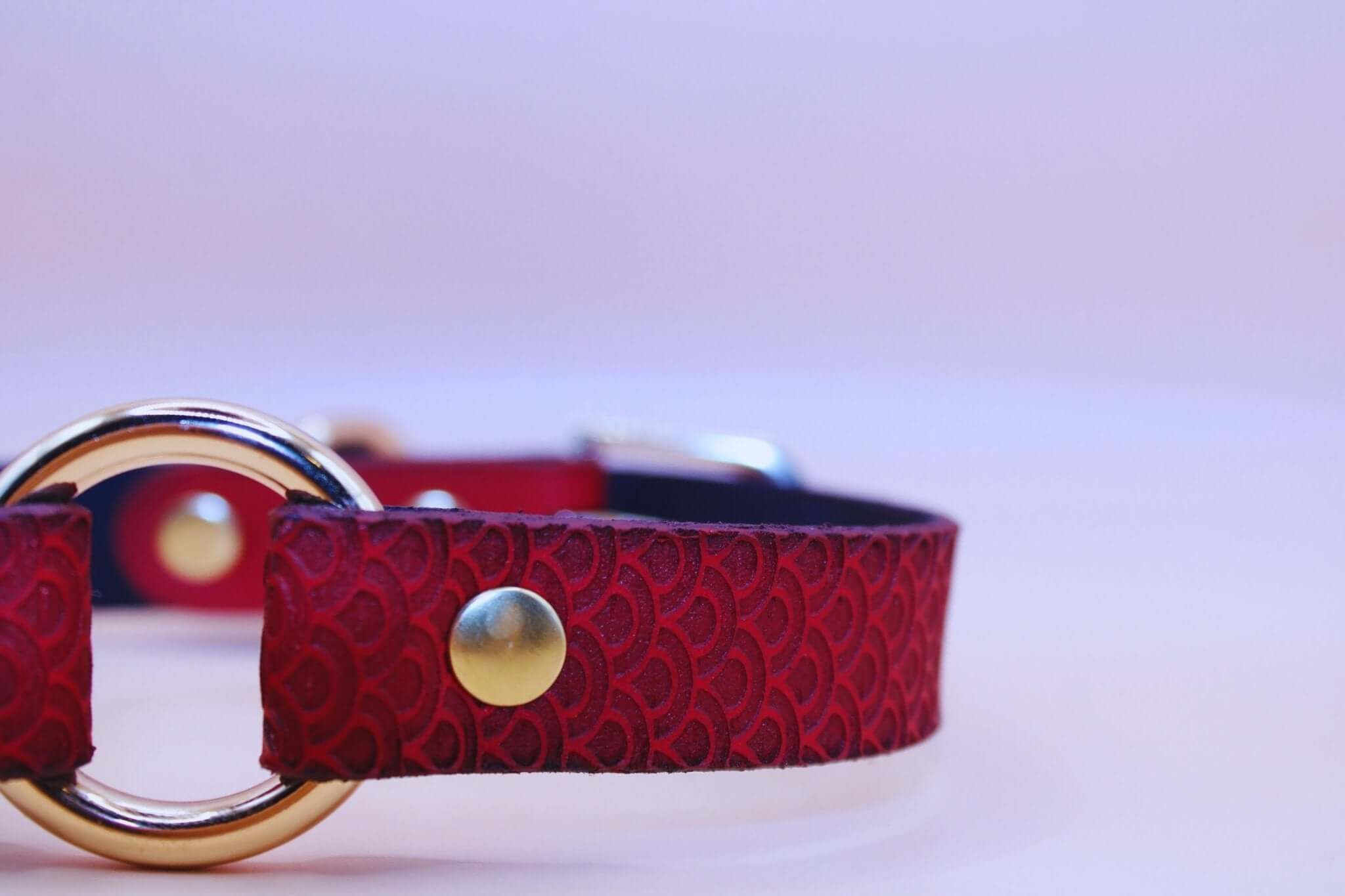 Crimson scaled submissive collar with O-ring, perfect for BDSM, bondage, and discreet day wear.
