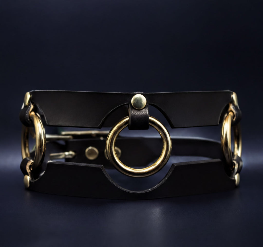 A black leather choker necklace with gold-colored metal rings and a circular clasp.