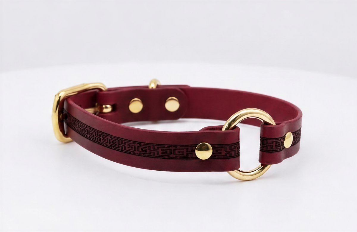 A burgundy leather dog collar with a gold-colored buckle and two gold-colored buckles.