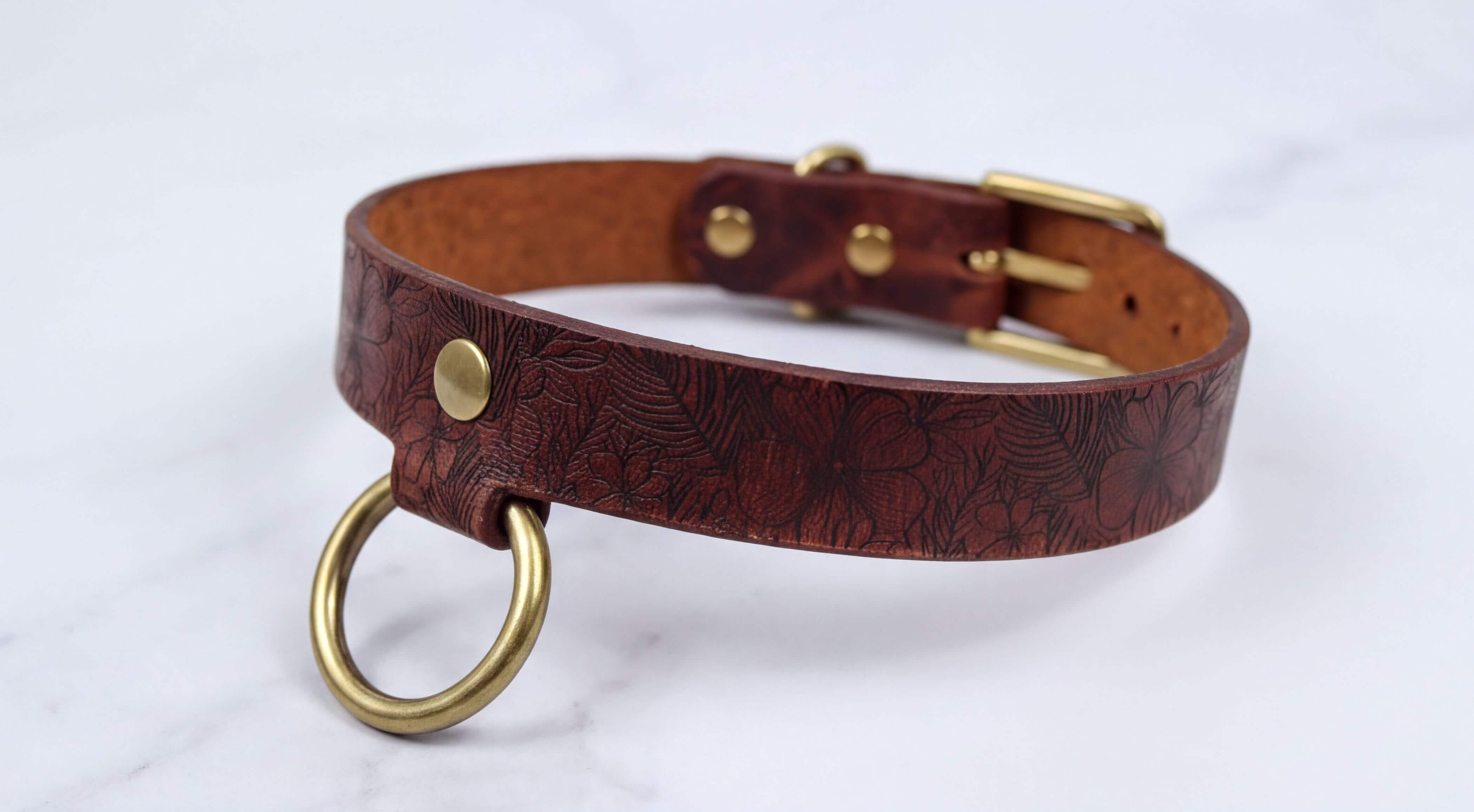 A brown leather collar with a gold-colored metal ring and buckle.