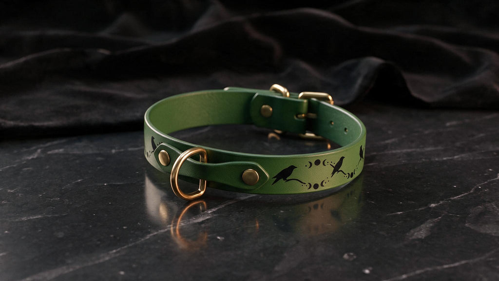 A green leather collar with a gold buckle and a design featuring black silhouettes of birds and moon phases.
