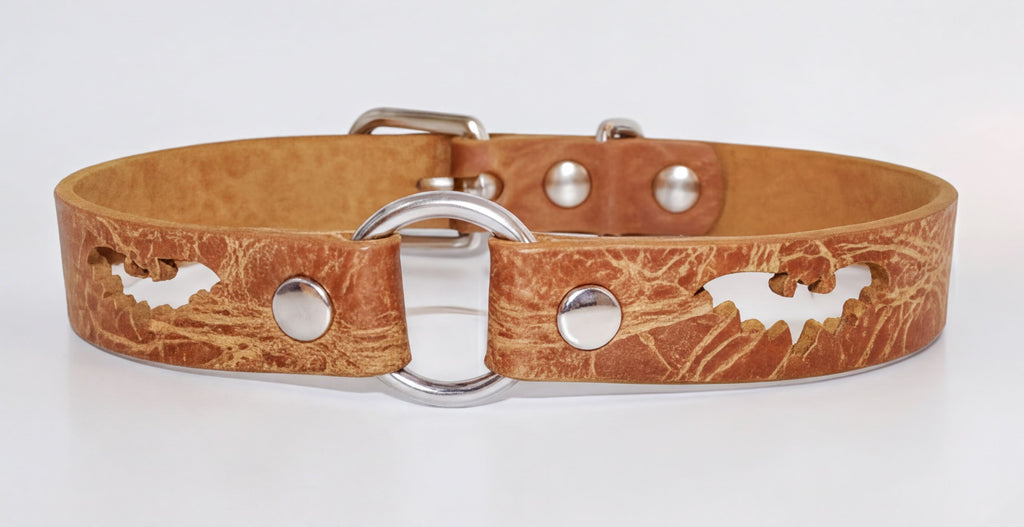 A brown leather dog collar with a bat cutout design.
