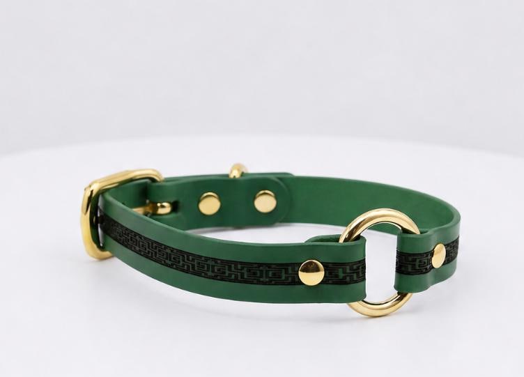 A green dog collar with gold hardware, including a buckle and two rings, is shown against a white background.
