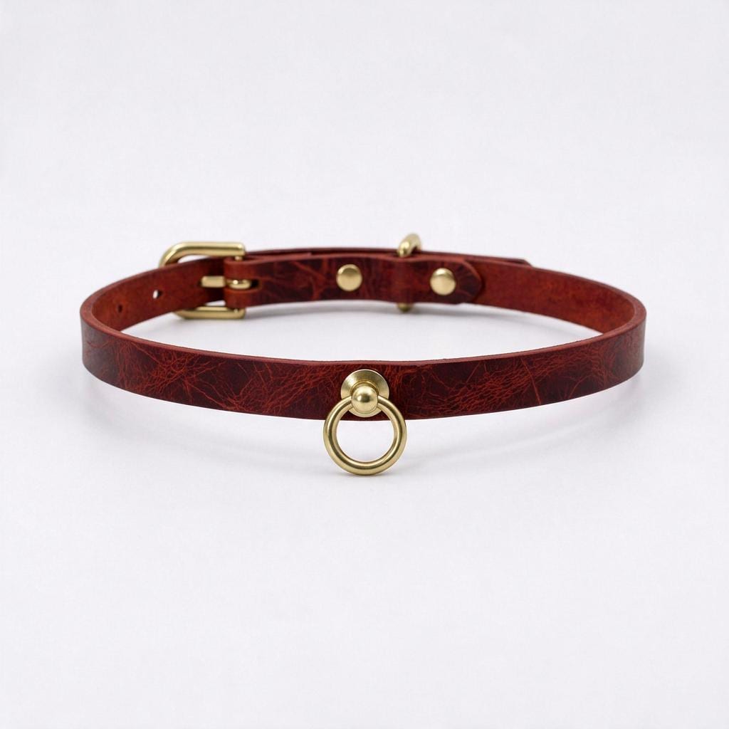 A red leather choker collar with a gold ring and buckle.