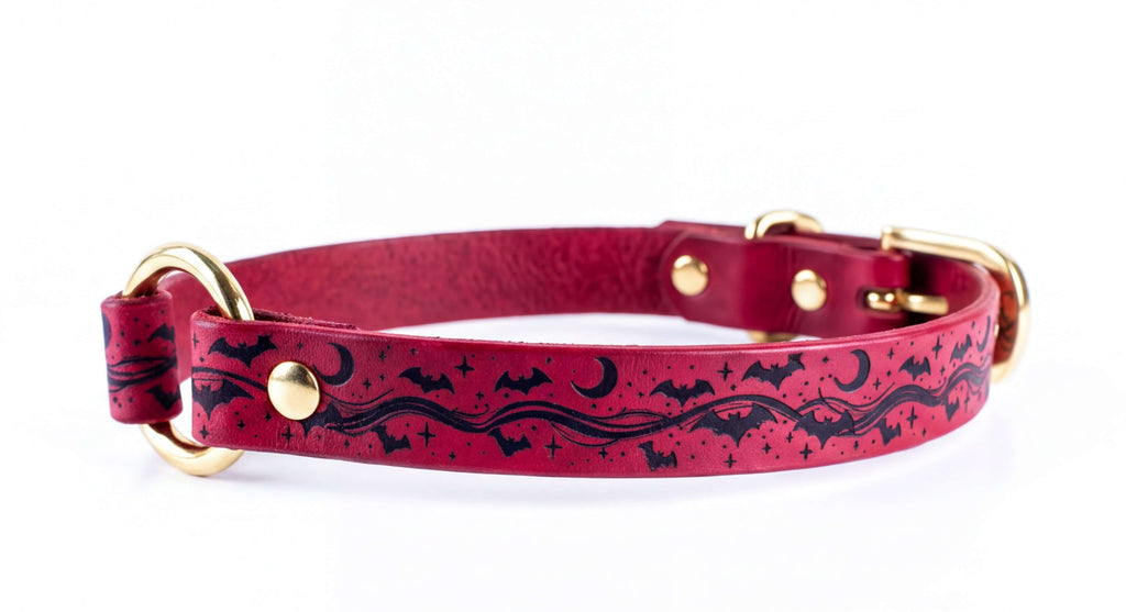 A red leather dog collar with a black bat and star design printed on it.