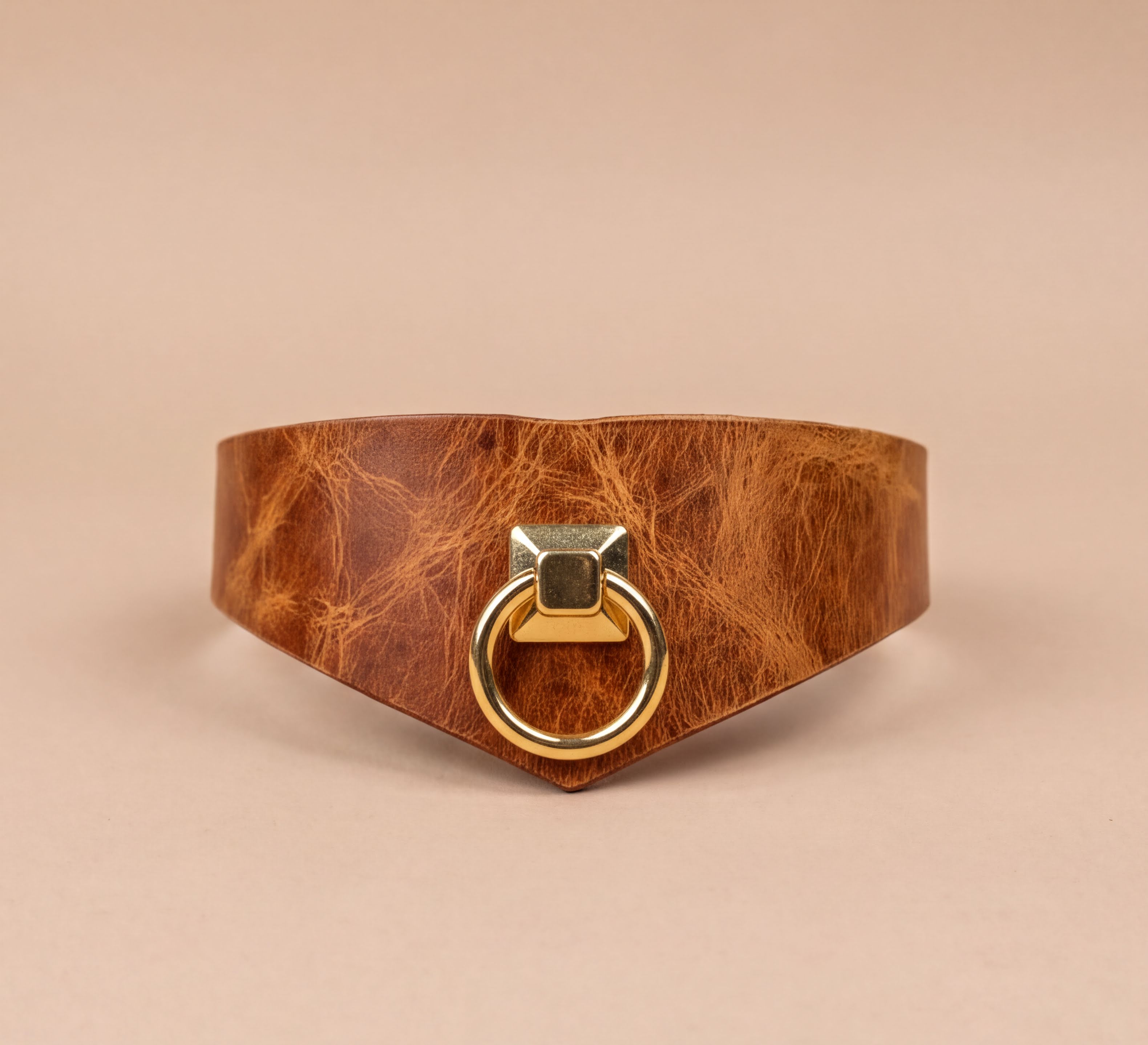 A brown leather choker necklace with a gold-colored metal ring on the front.