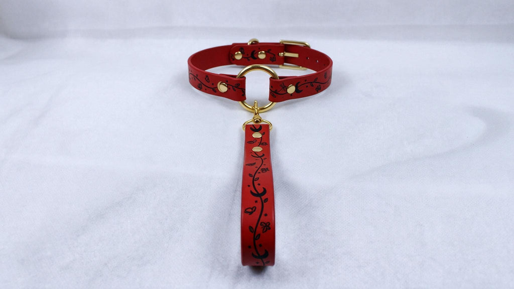 A red collar with a gold buckle and handle is displayed on a white surface.