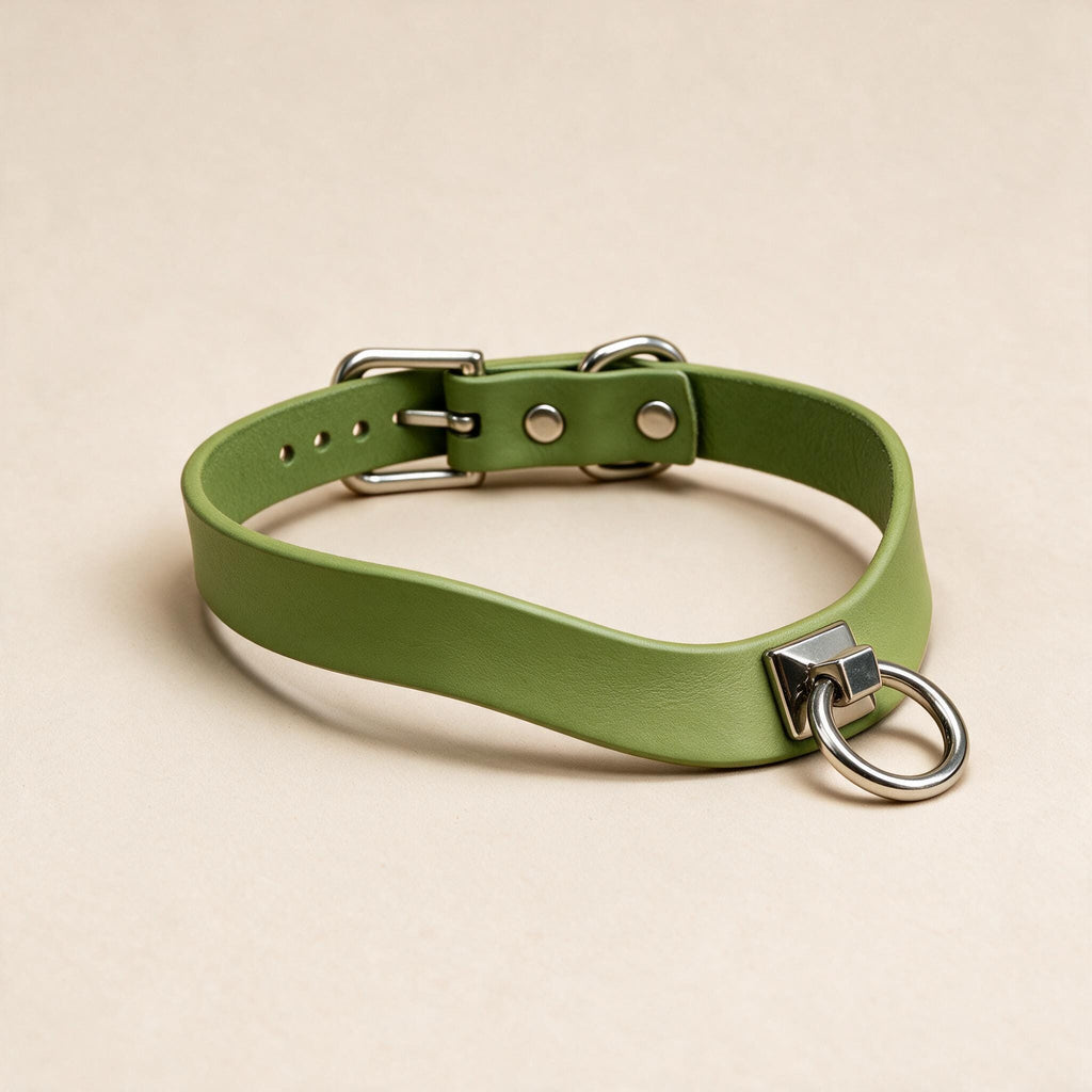 A green leather choker collar with a metal ring and buckle.