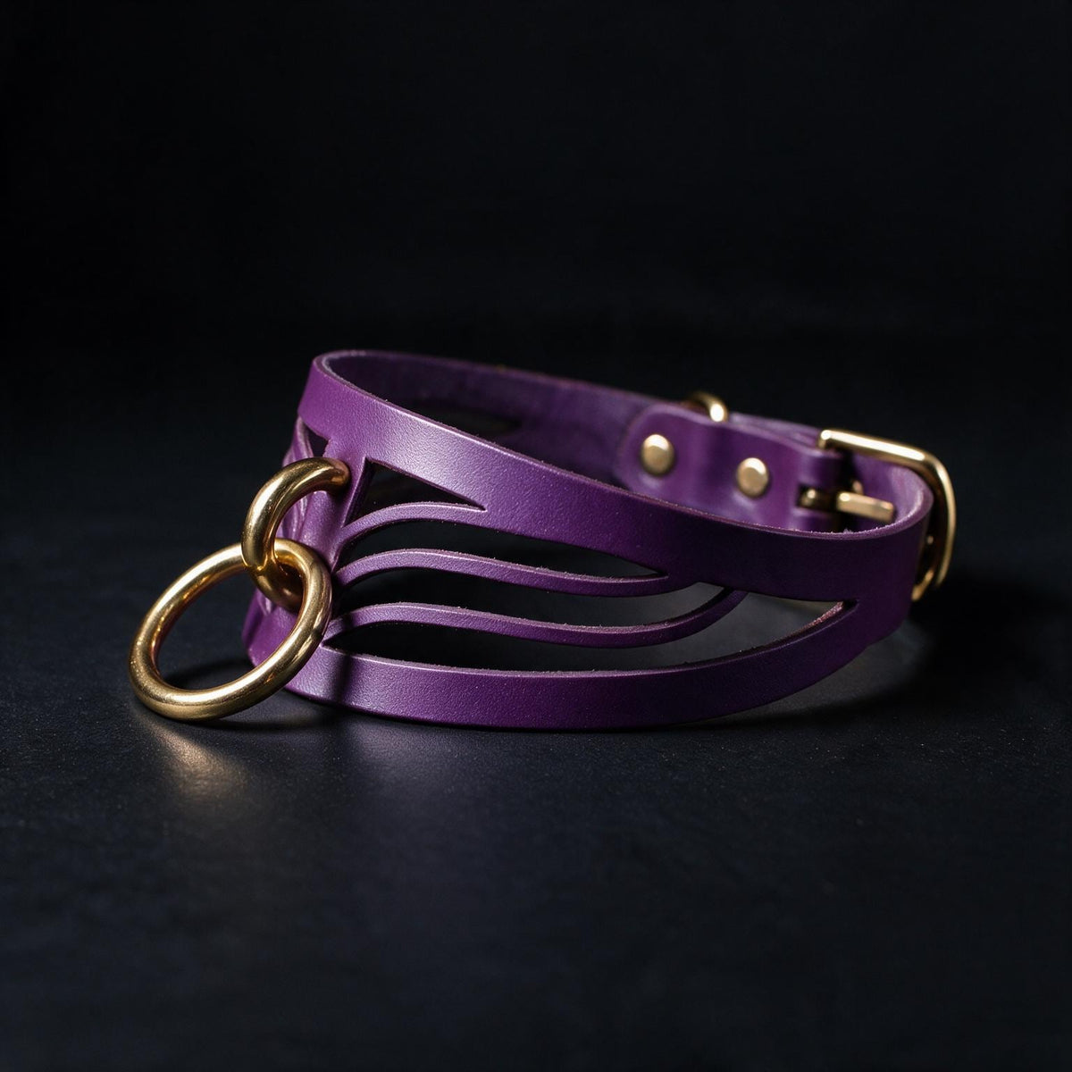 A purple leather choker necklace with gold-colored metal rings and a black background.