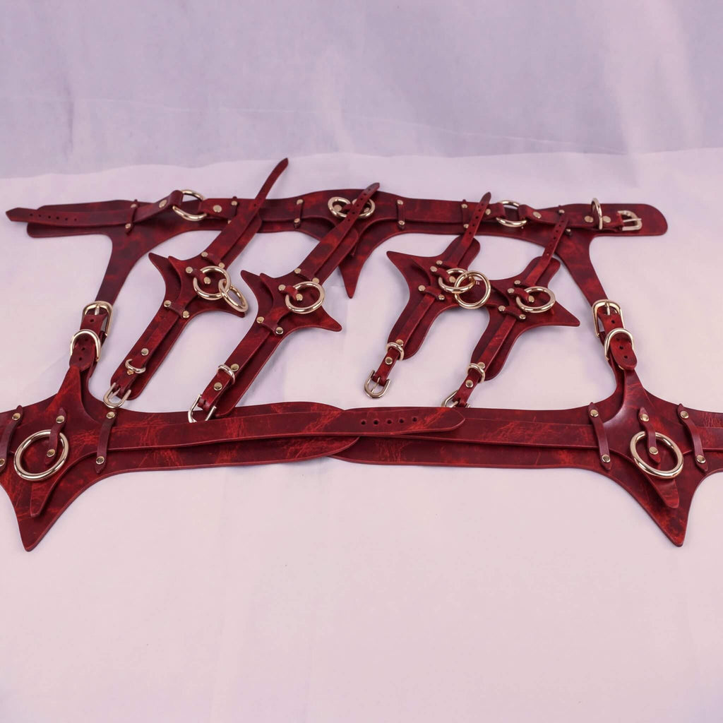 A collection of red leather straps with metal rings and buckles, arranged in a grid-like pattern.