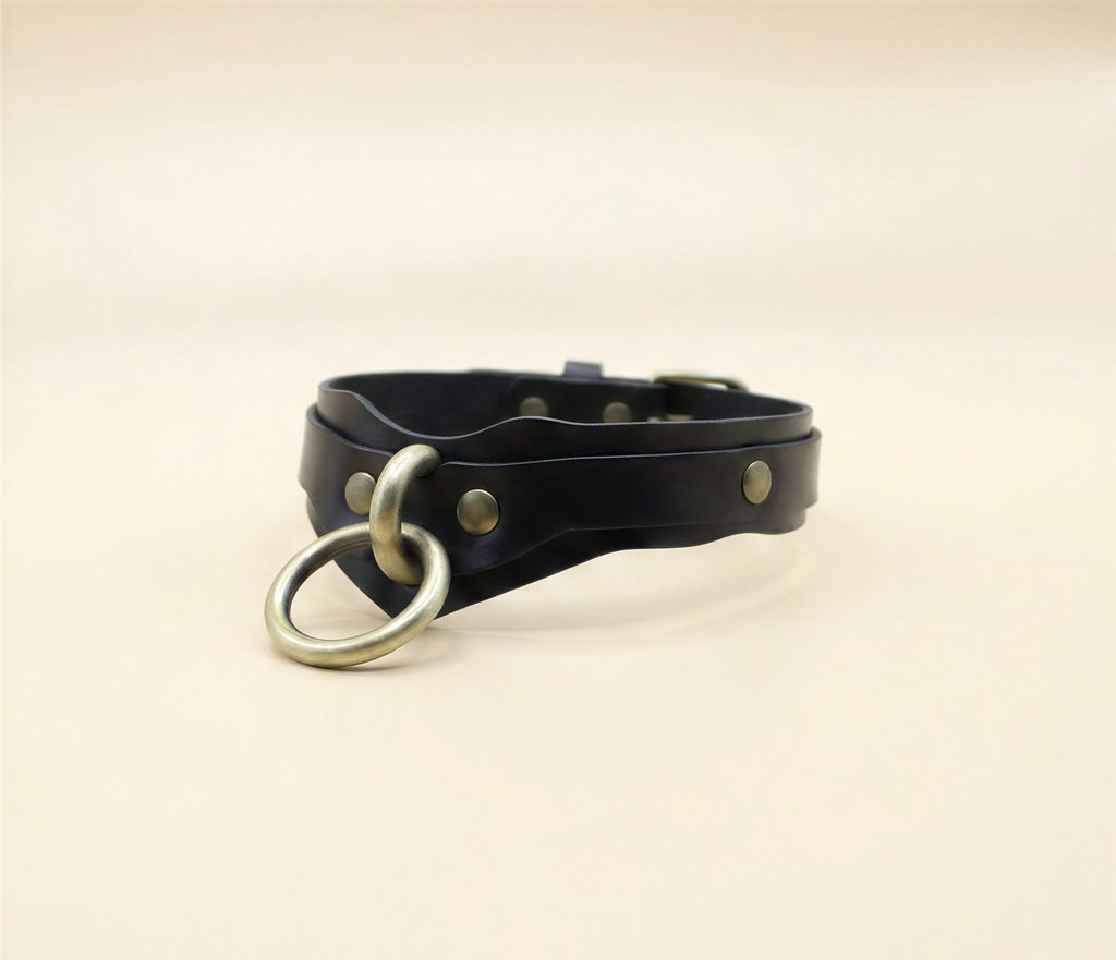 A black leather choker necklace with a metal ring and buckle.